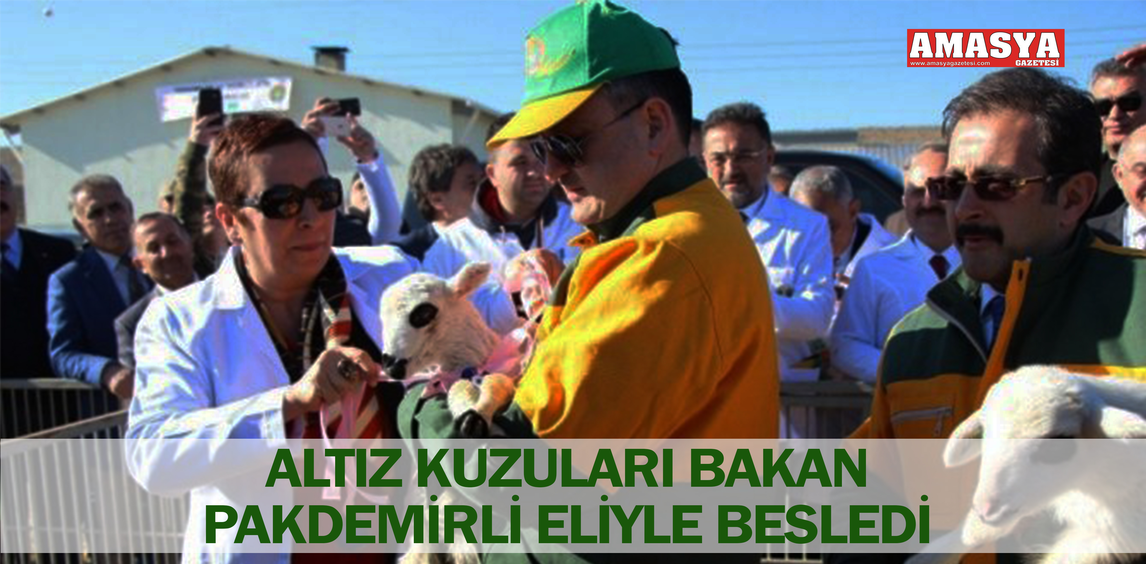 ALTIZ KUZULARI BAKAN PAKDEMİRLİ ELİYLE BESLEDİ