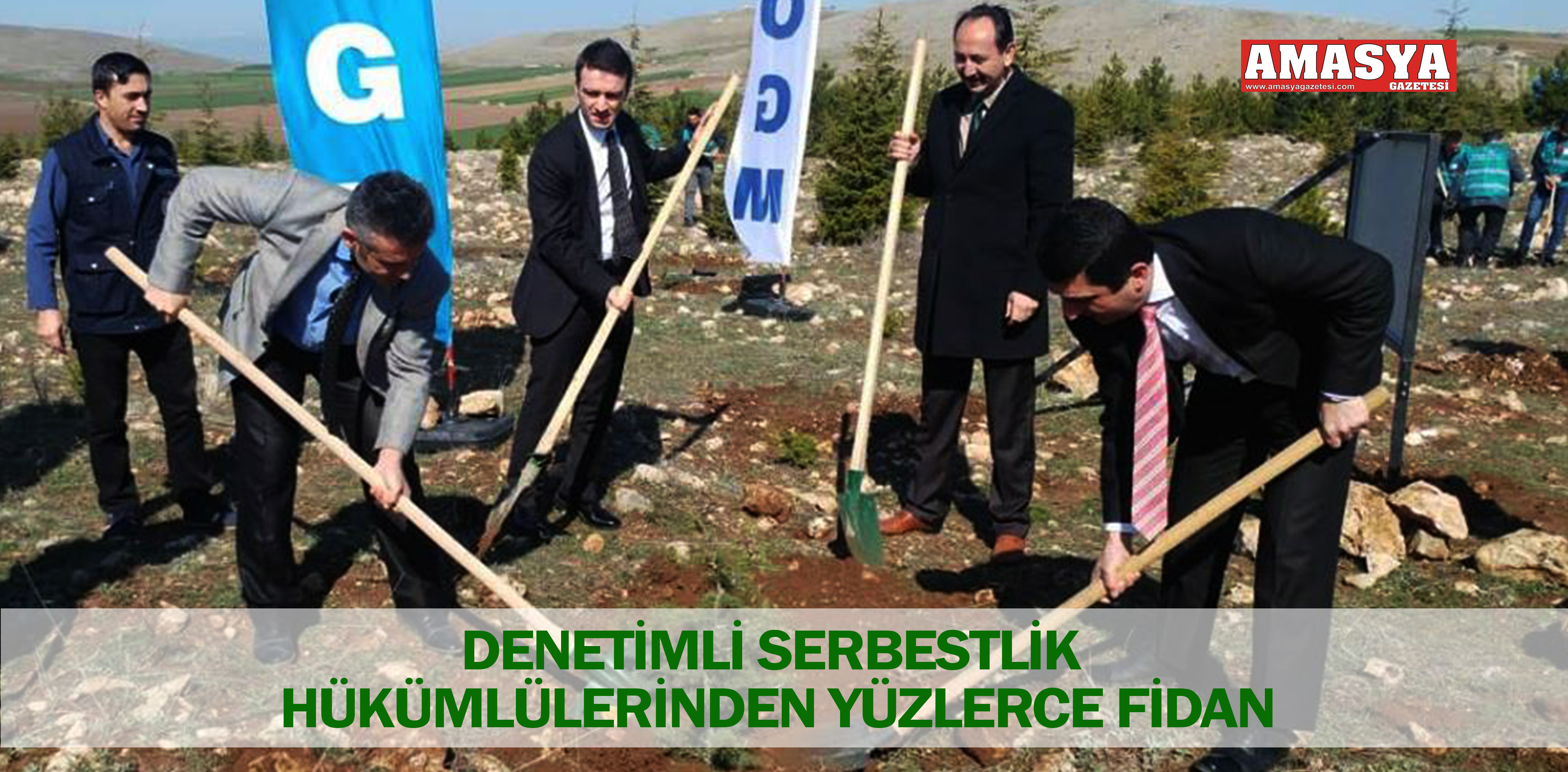 DENETİMLİ SERBESTLİK HÜKÜMLÜLERİNDEN YÜZLERCE FİDAN