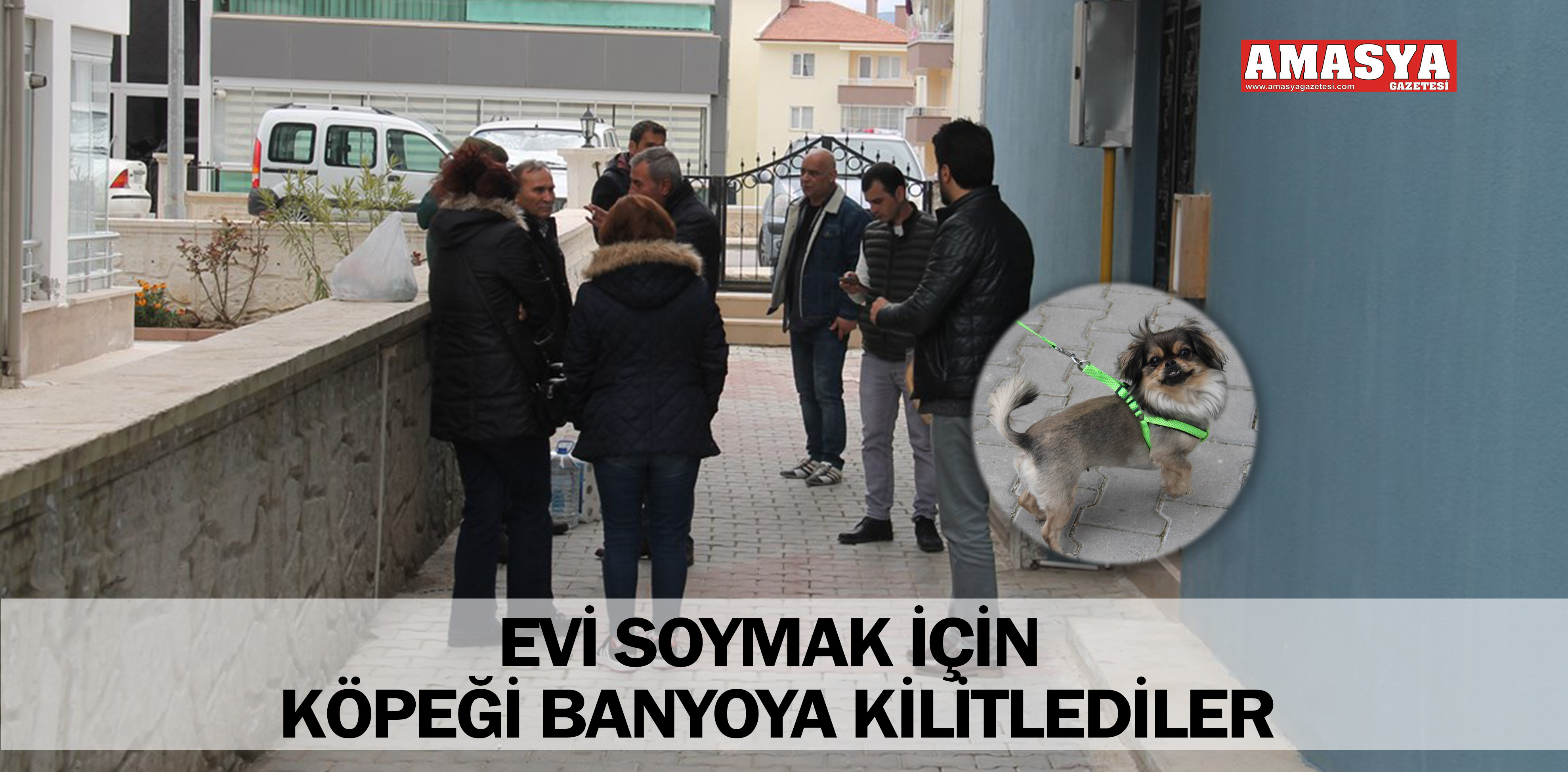 EVİ SOYMAK İÇİN KÖPEĞİ BANYOYA KİLİTLEDİLER