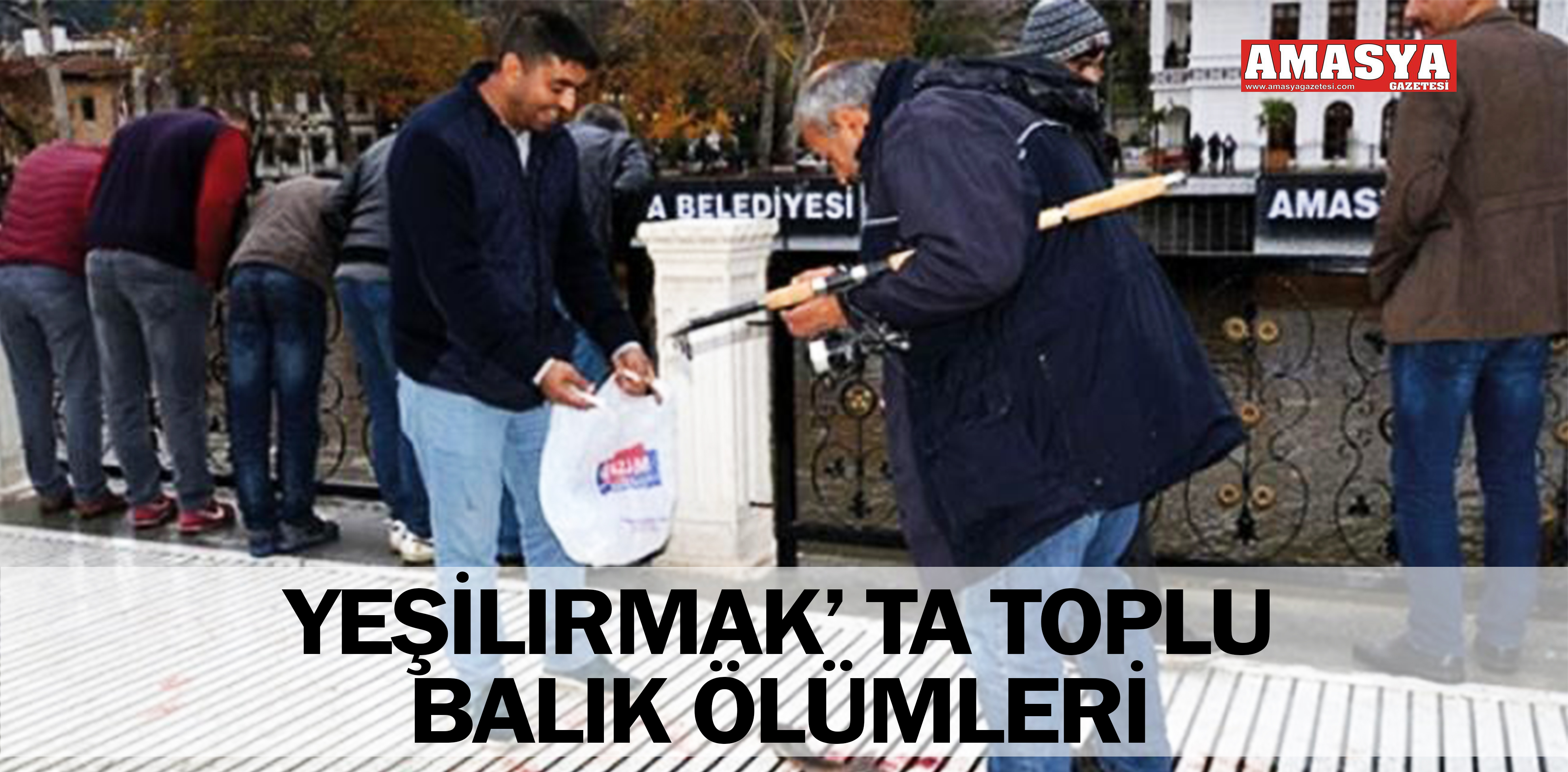 YEŞİLIRMAK’ TA TOPLU BALIK ÖLÜMLERİ