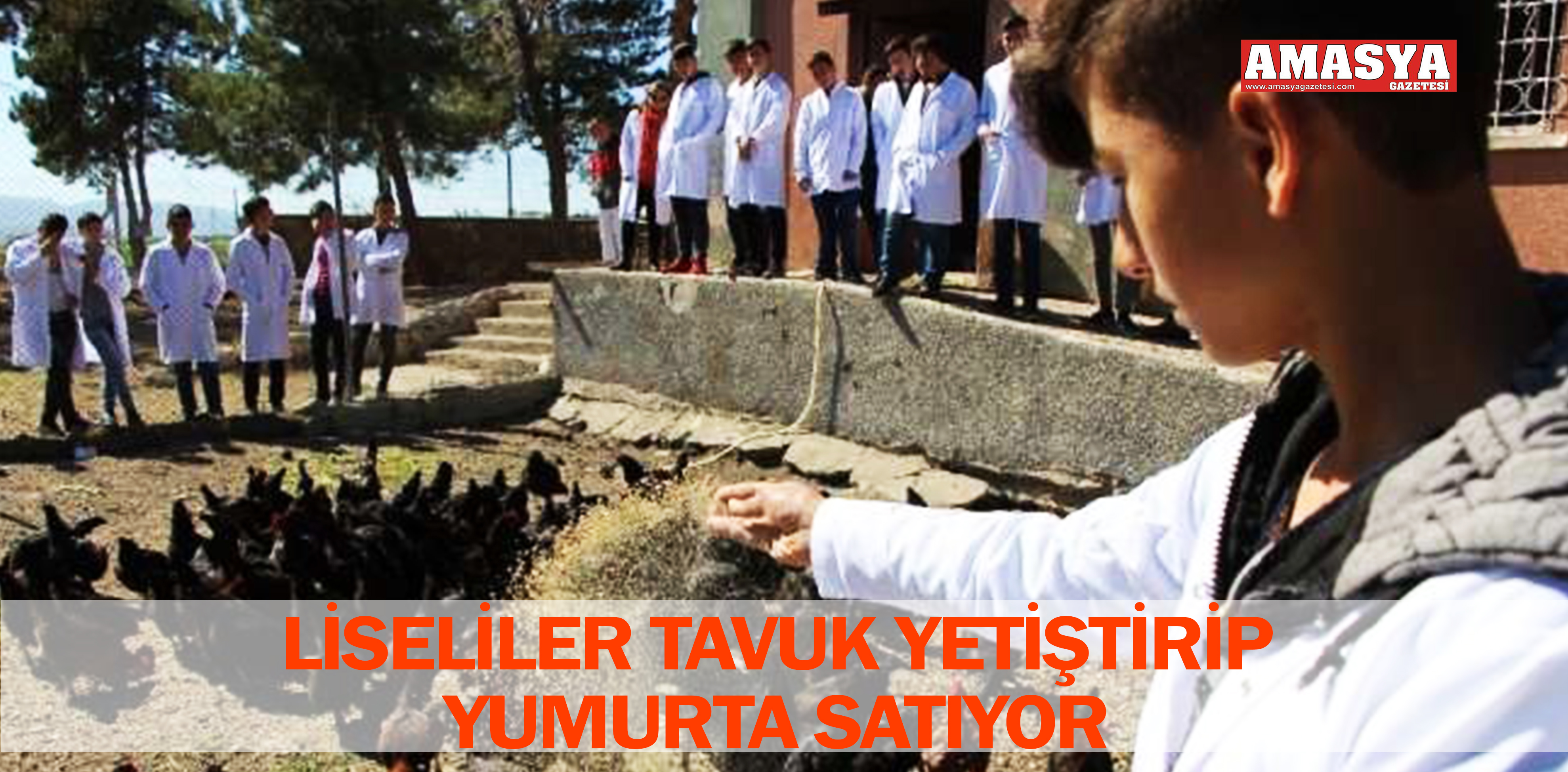 LİSELİLER TAVUK YETİŞTİRİP YUMURTA SATIYOR