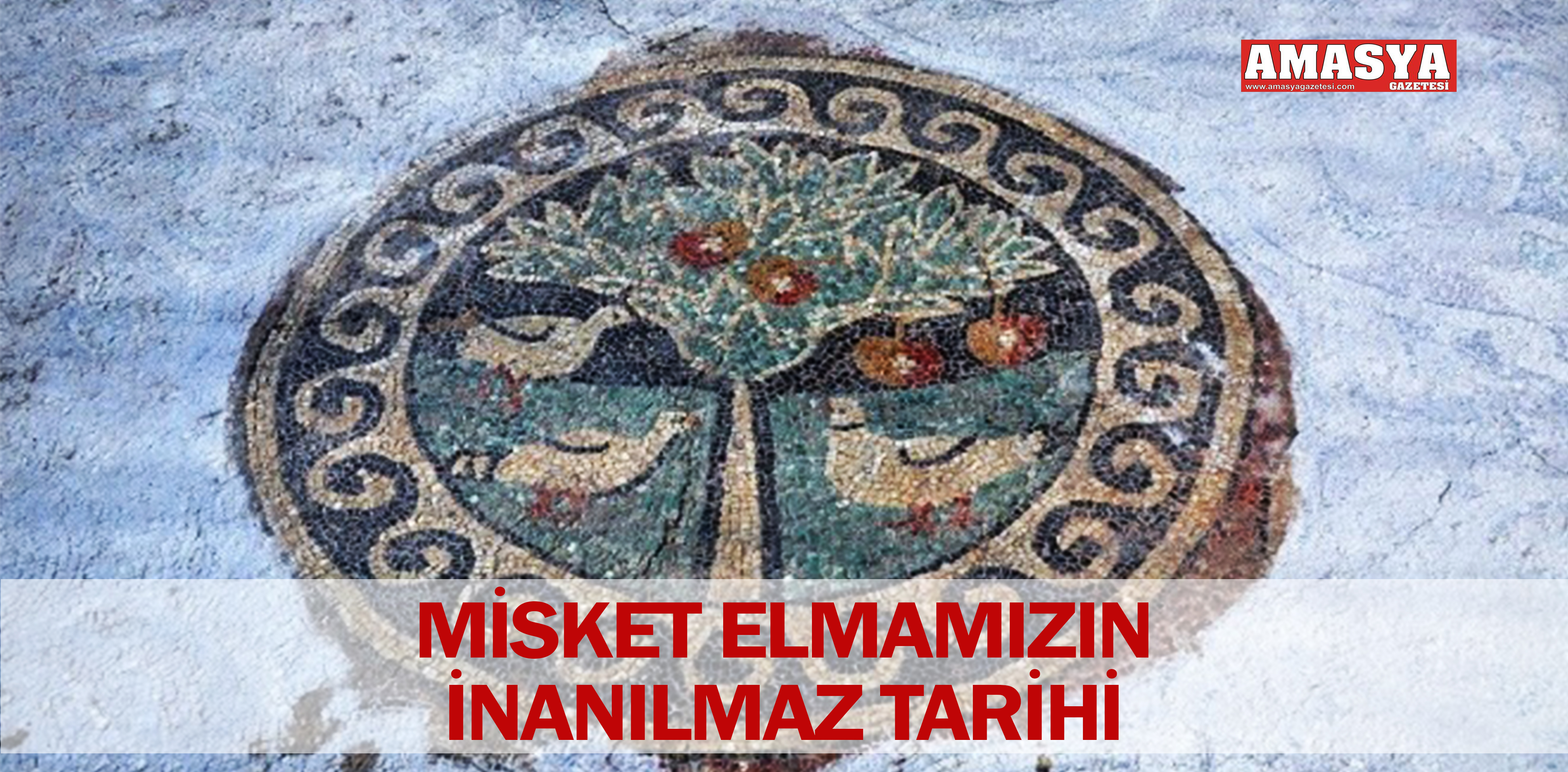 MİSKET ELMAMIZIN İNANILMAZ TARİHİ