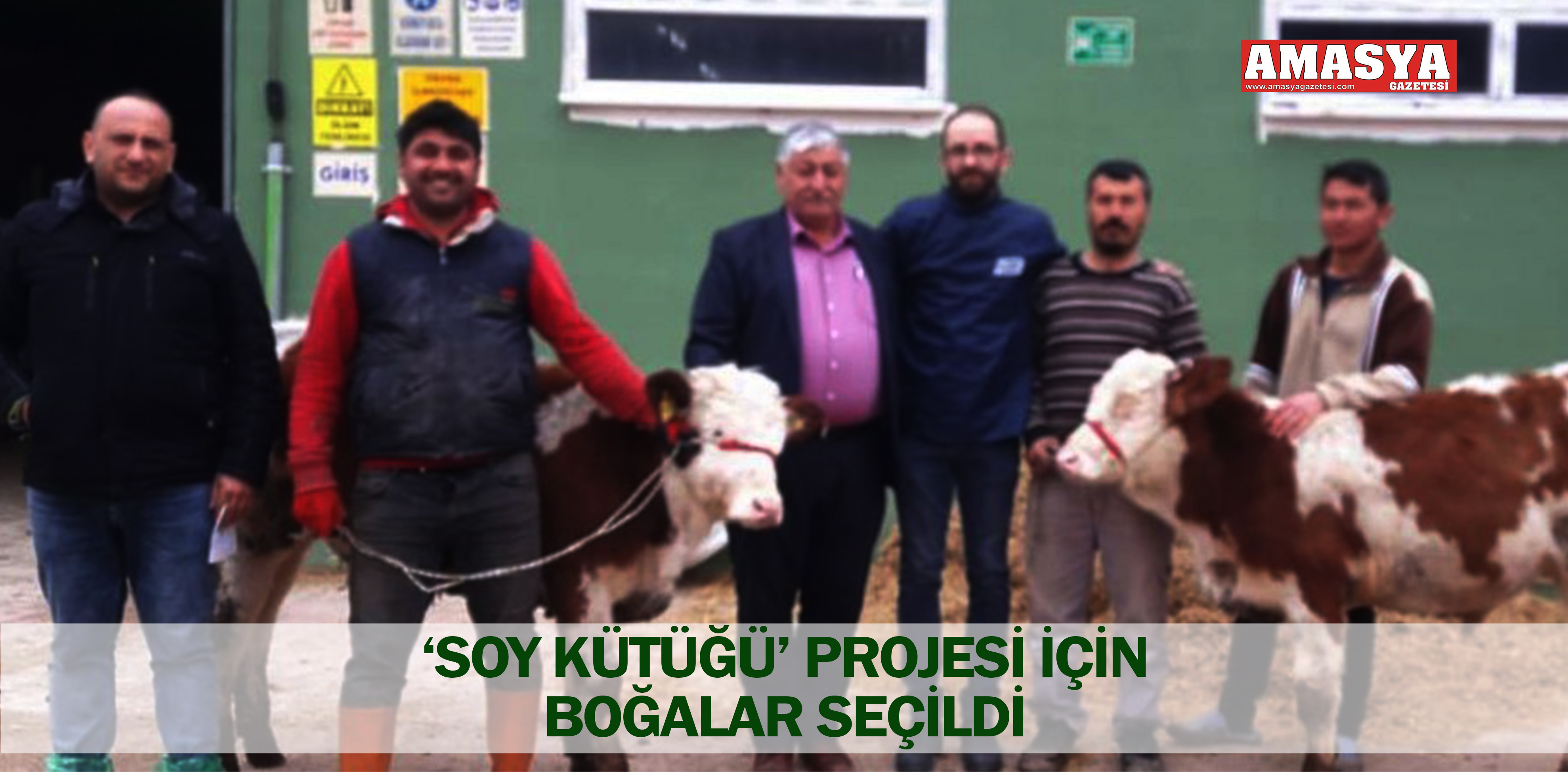 ‘SOY KÜTÜĞÜ’ PROJESİ İÇİN BOĞALAR SEÇİLDİ