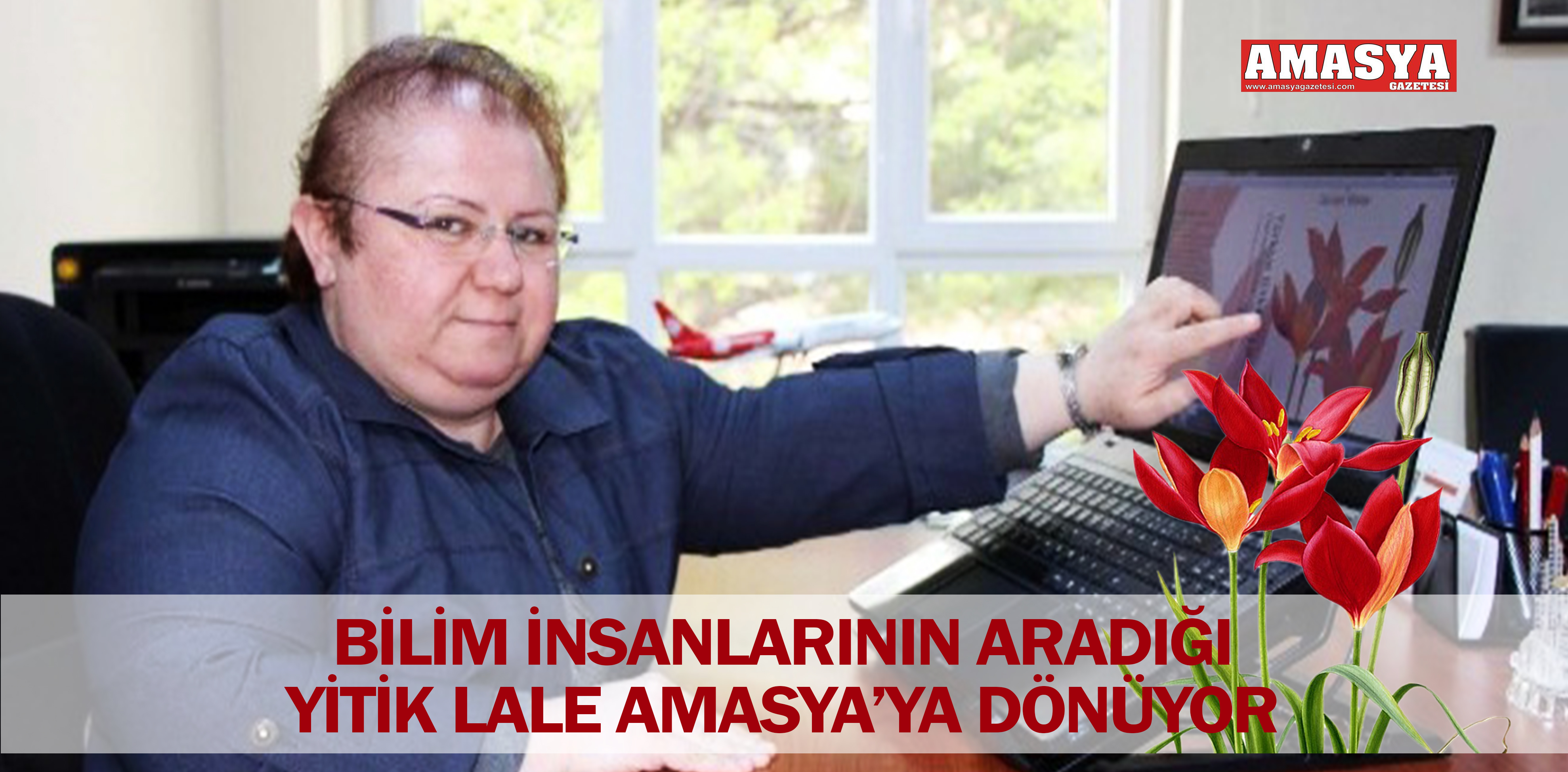 BİLİM İNSANLARININ ARADIĞI YİTİK LALE AMASYA’YA DÖNÜYOR