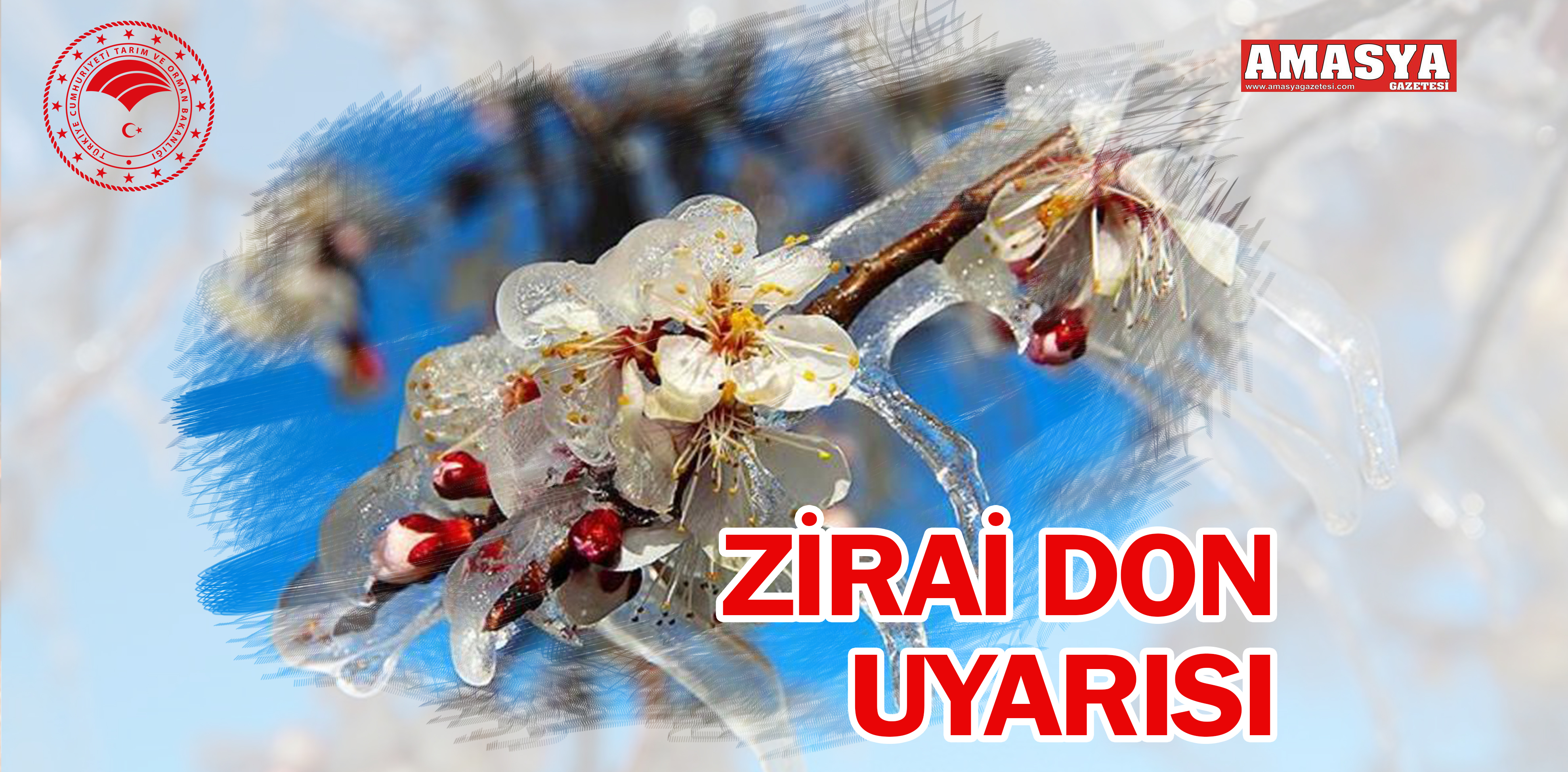 ZİRAİ DON UYARISI