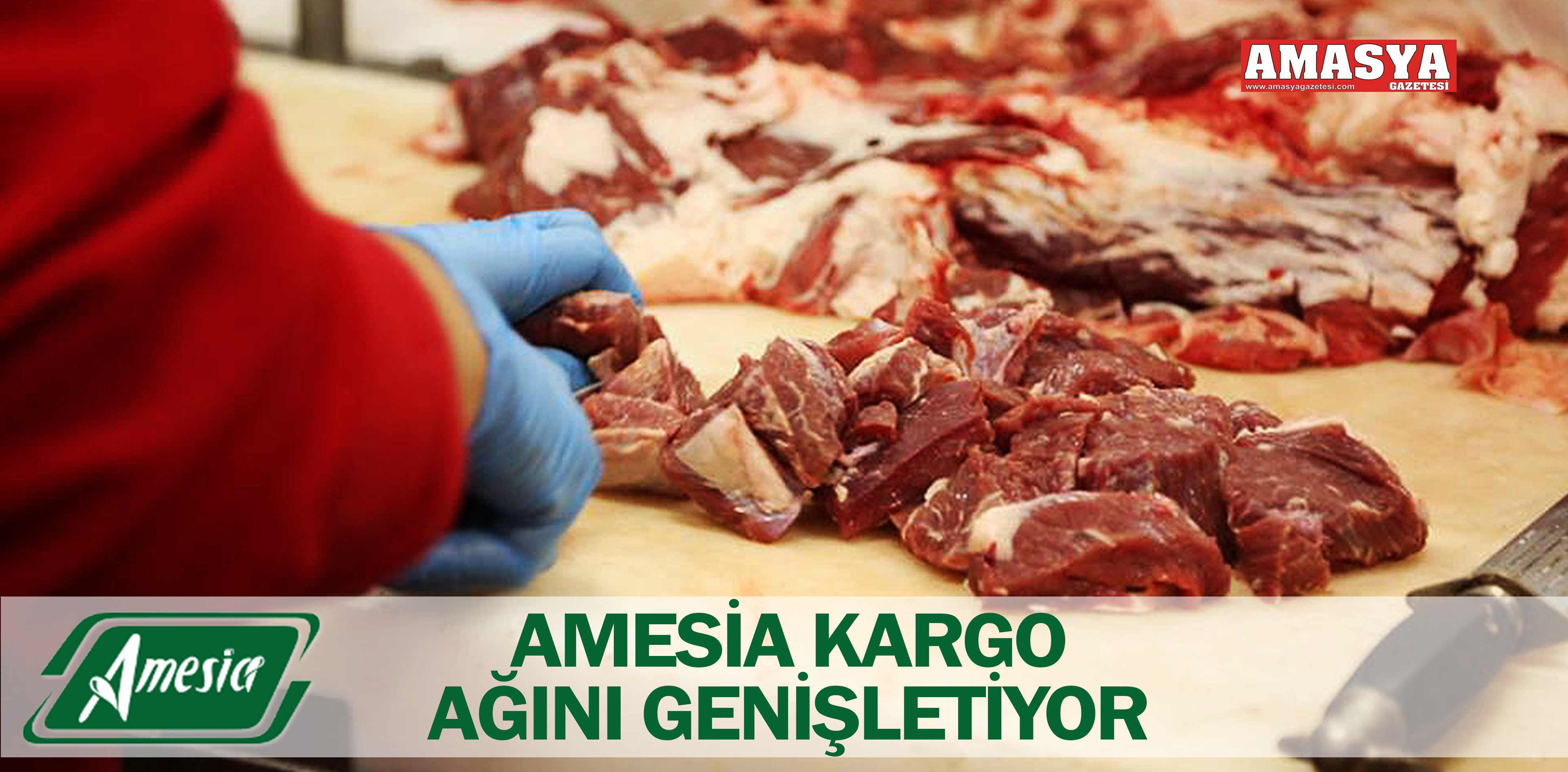 AMESİA KARGO AĞINI GENİŞLETİYOR