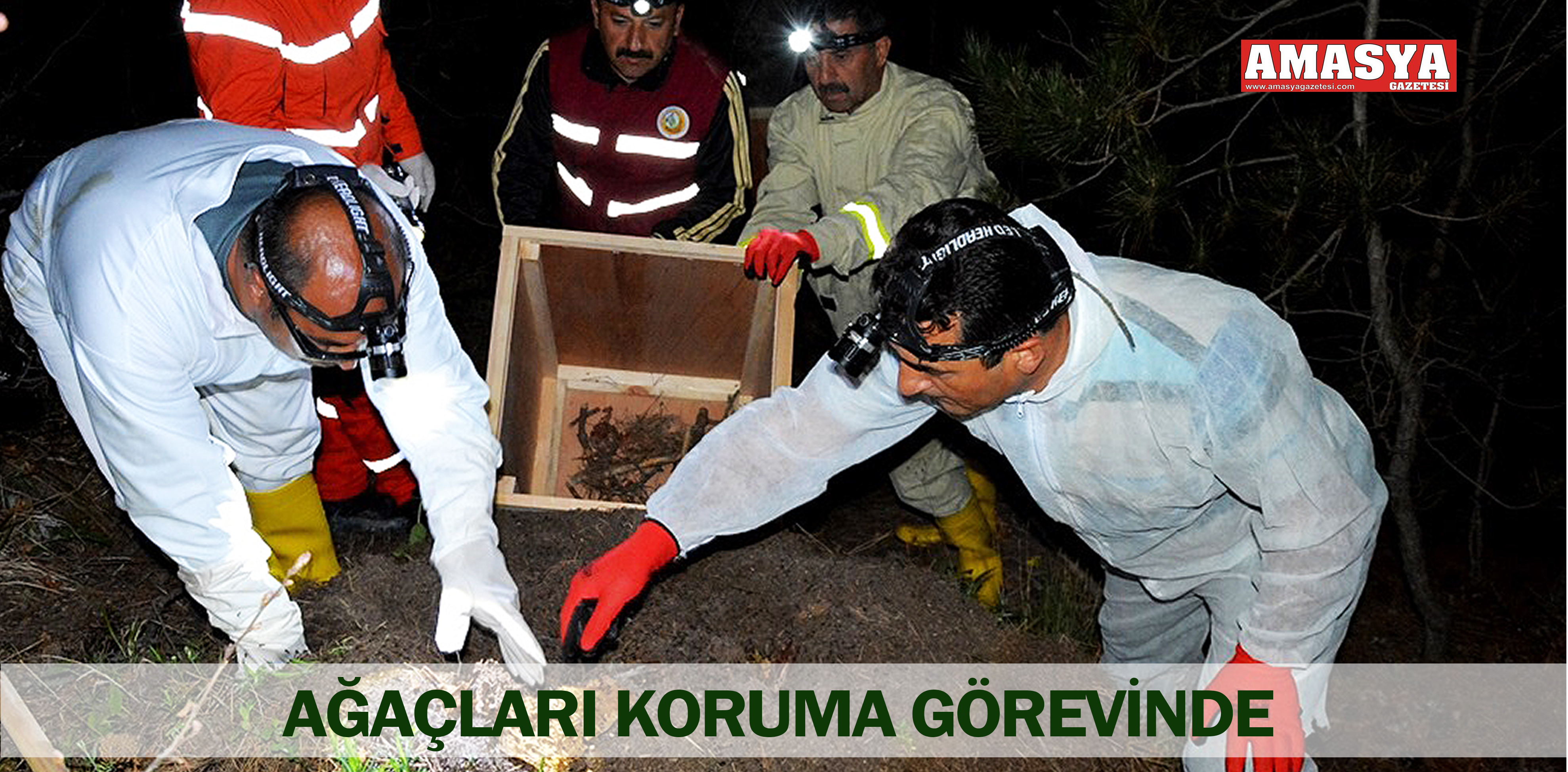 AĞAÇLARI KORUMA GÖREVİNDE