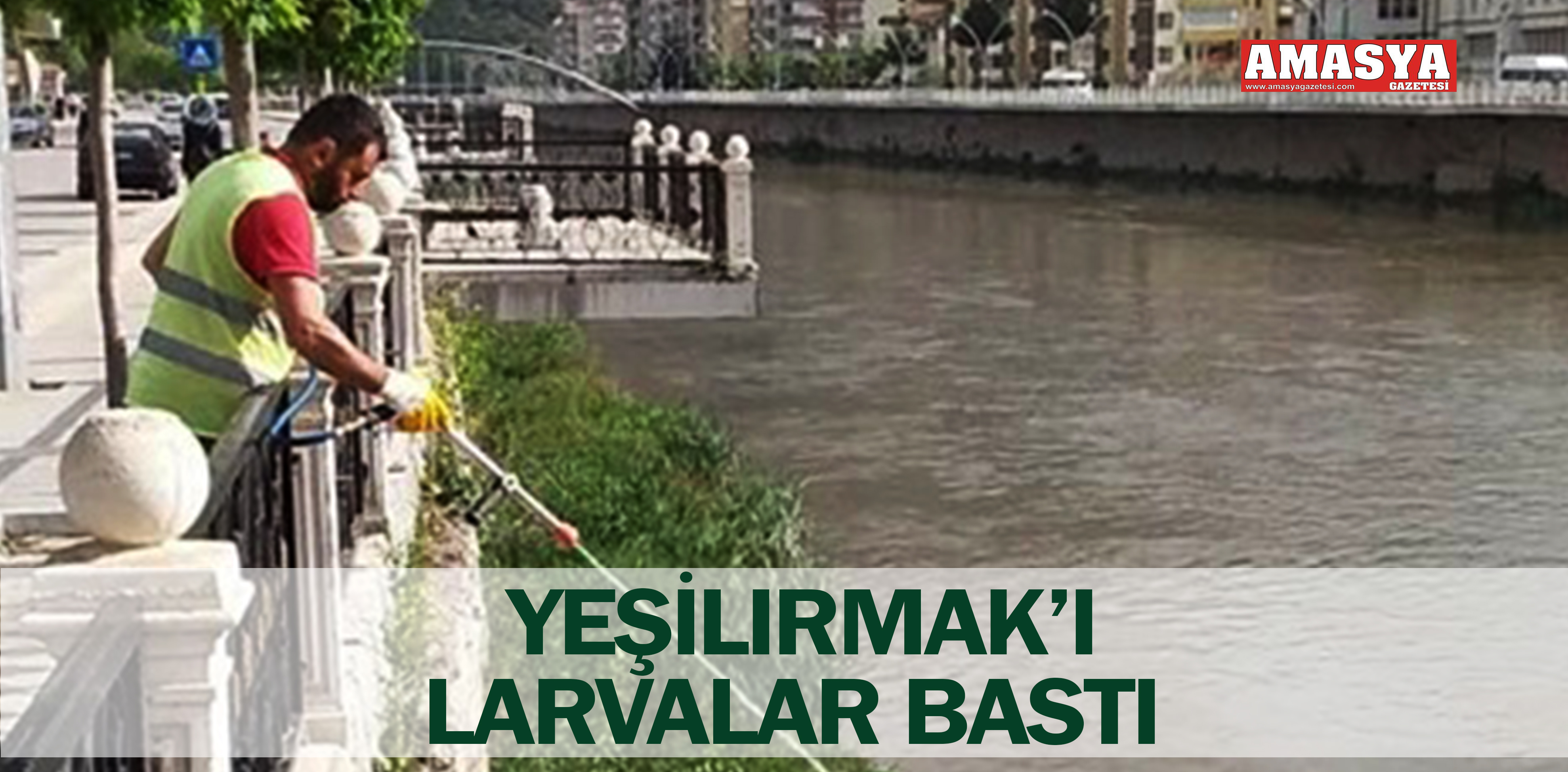 YEŞİLIRMAK’I LARVALAR BASTI