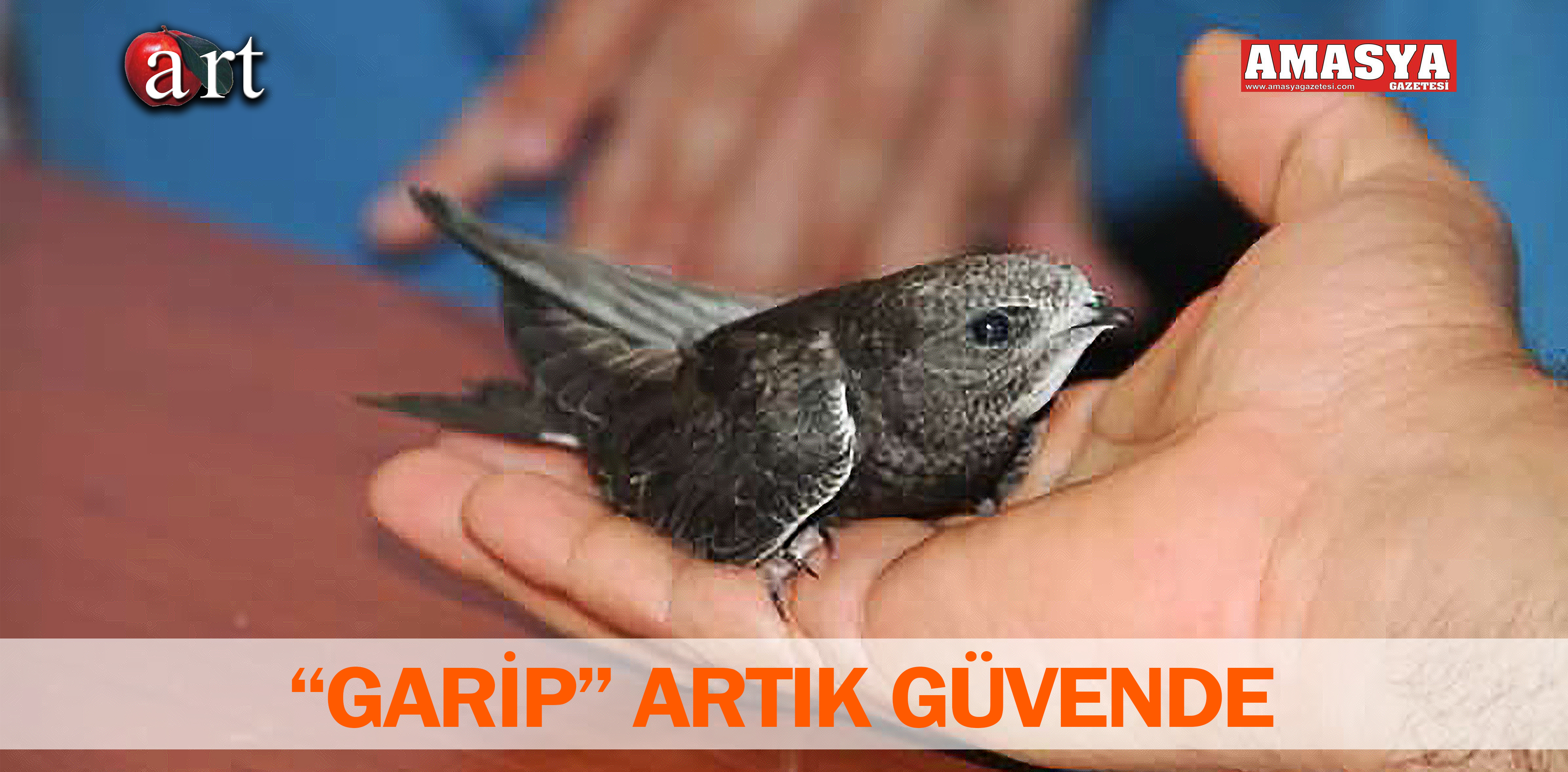 “GARİP” ARTIK GÜVENDE