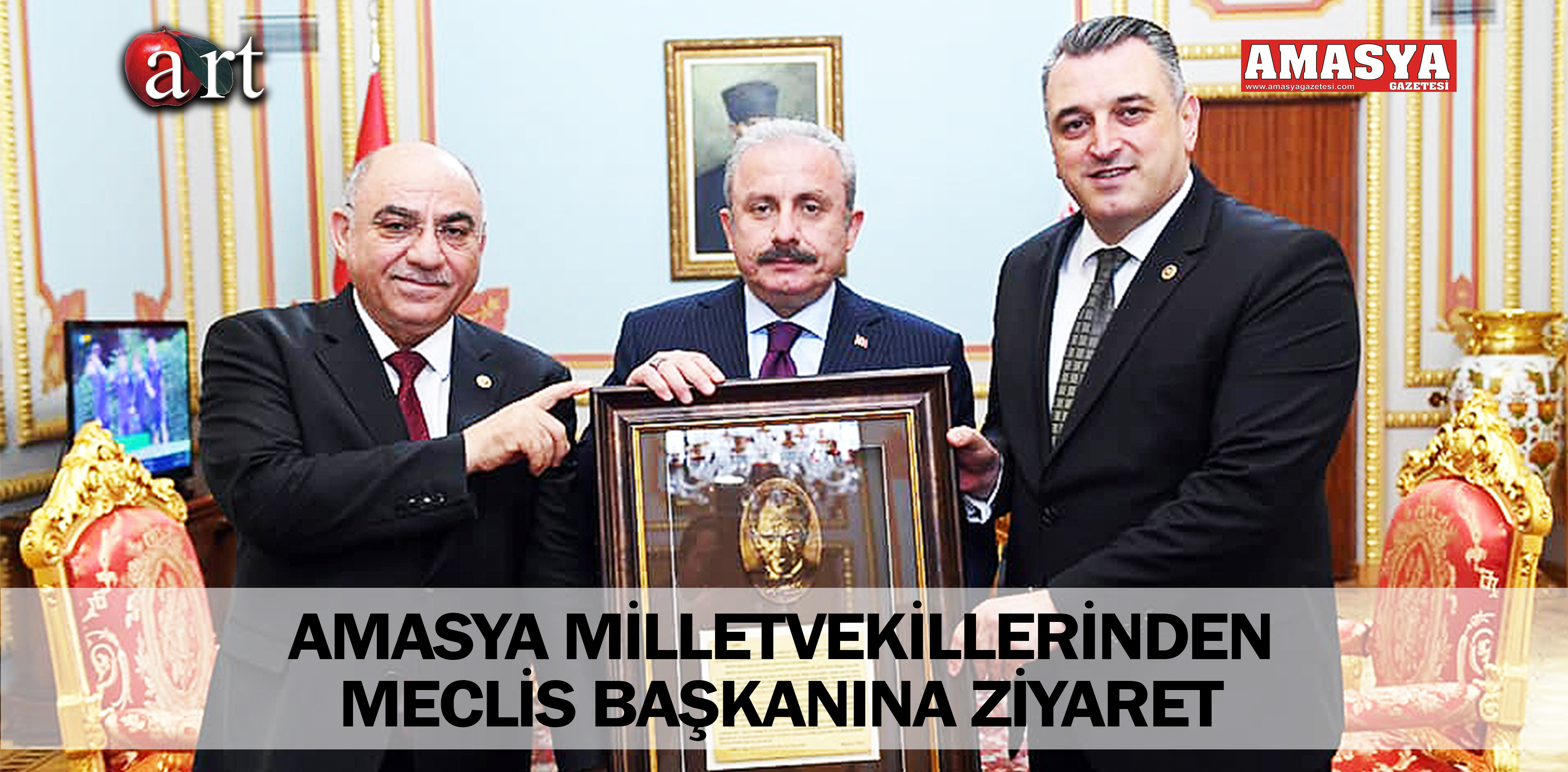 AMASYA MİLLETVEKİLLERİNDEN MECLİS BAŞKANINA ZİYARET