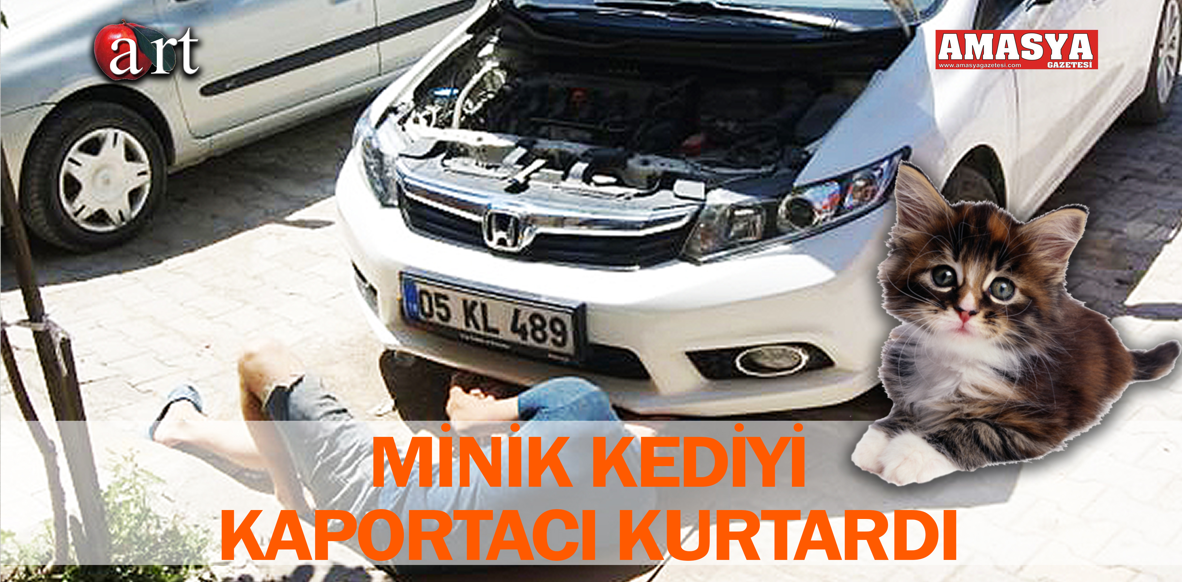 MİNİK KEDİYİ KAPORTACI KURTARDI