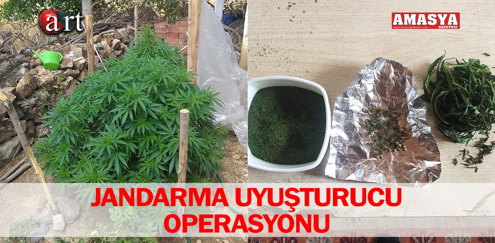 JANDARMA UYUŞTURUCU OPERASYONU