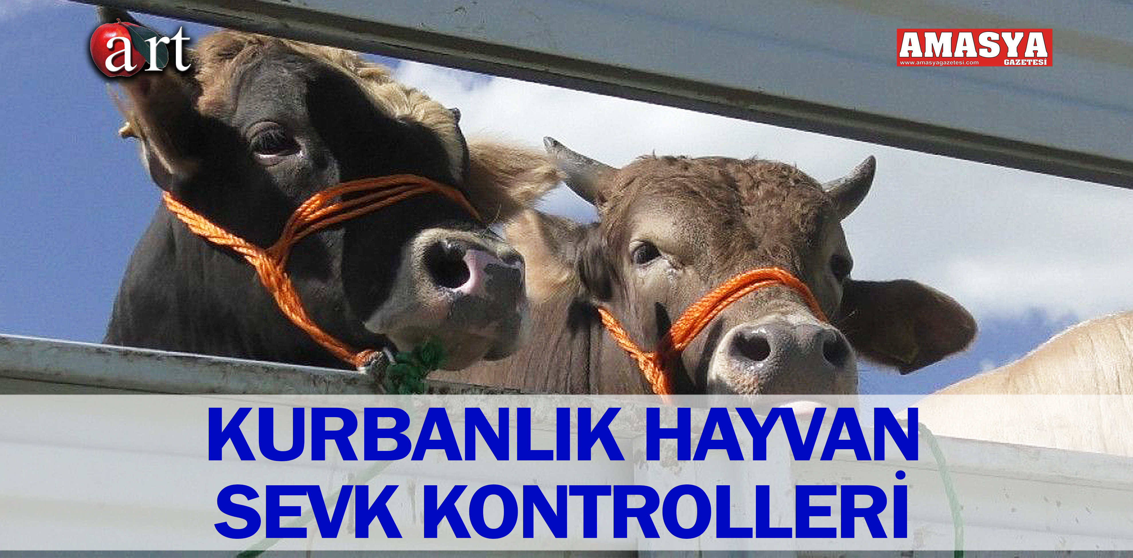 KURBANLIK HAYVAN SEVK KONTROLLERİ