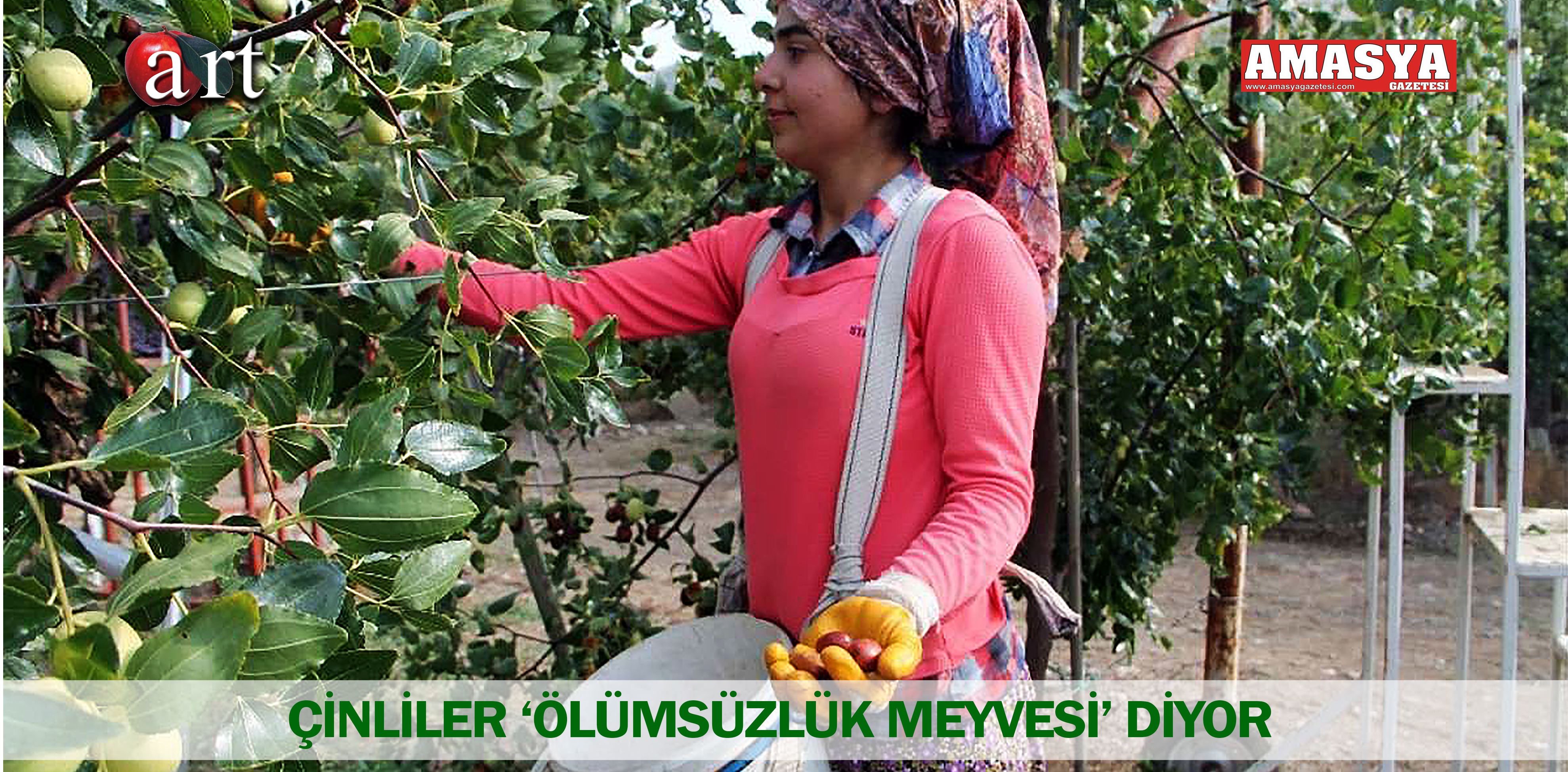 ÇİNLİLER ‘ÖLÜMSÜZLÜK MEYVESİ’ DİYOR