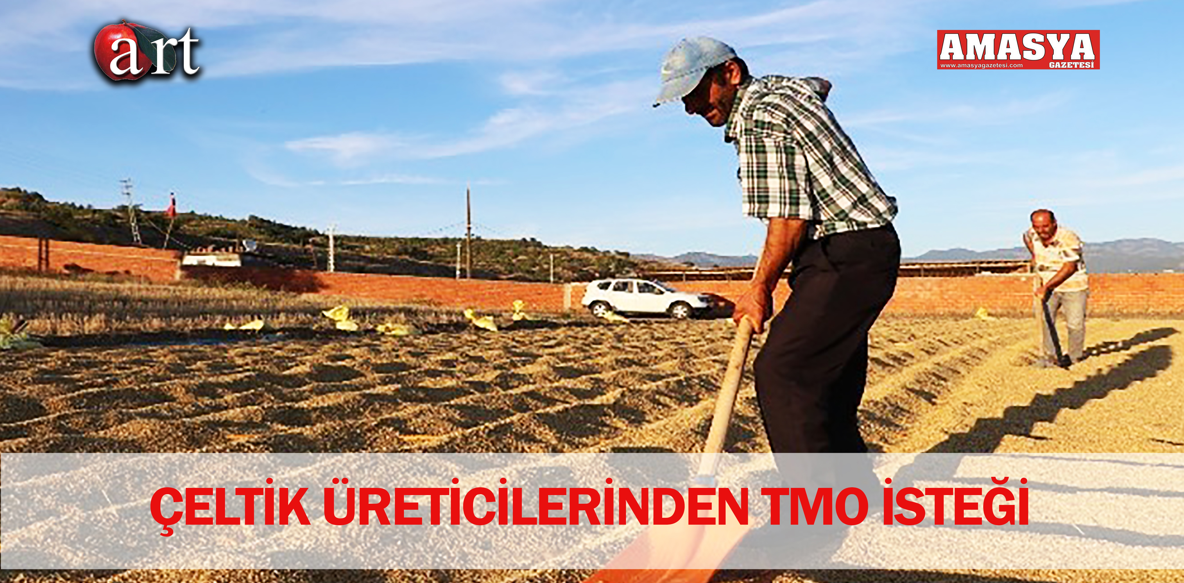 ÇELTİK ÜRETİCİLERİNDEN TMO İSTEĞİ