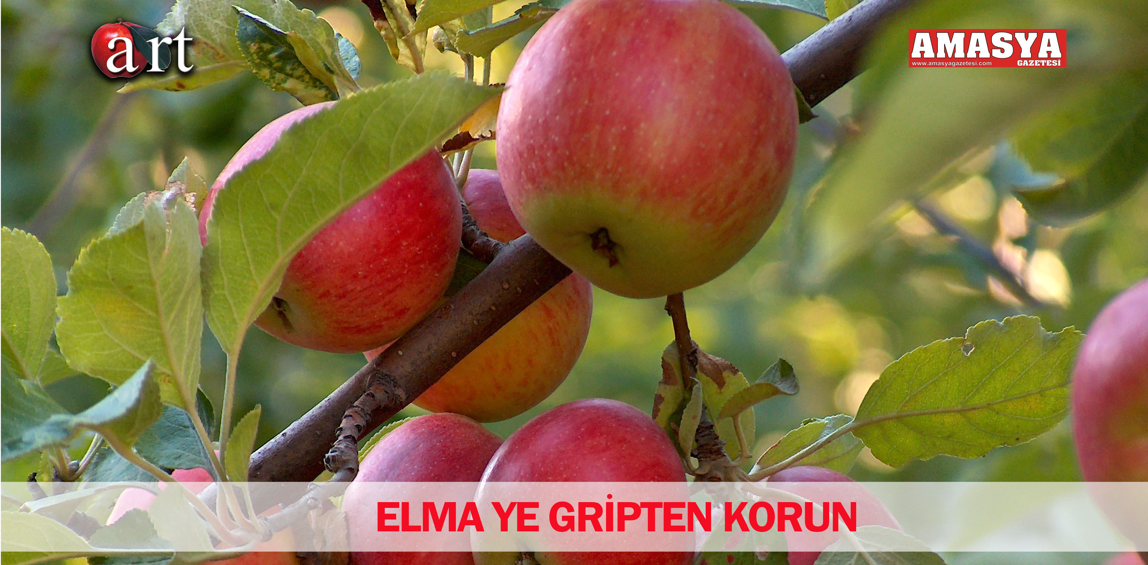 ELMA YE GRİPTEN KORUN