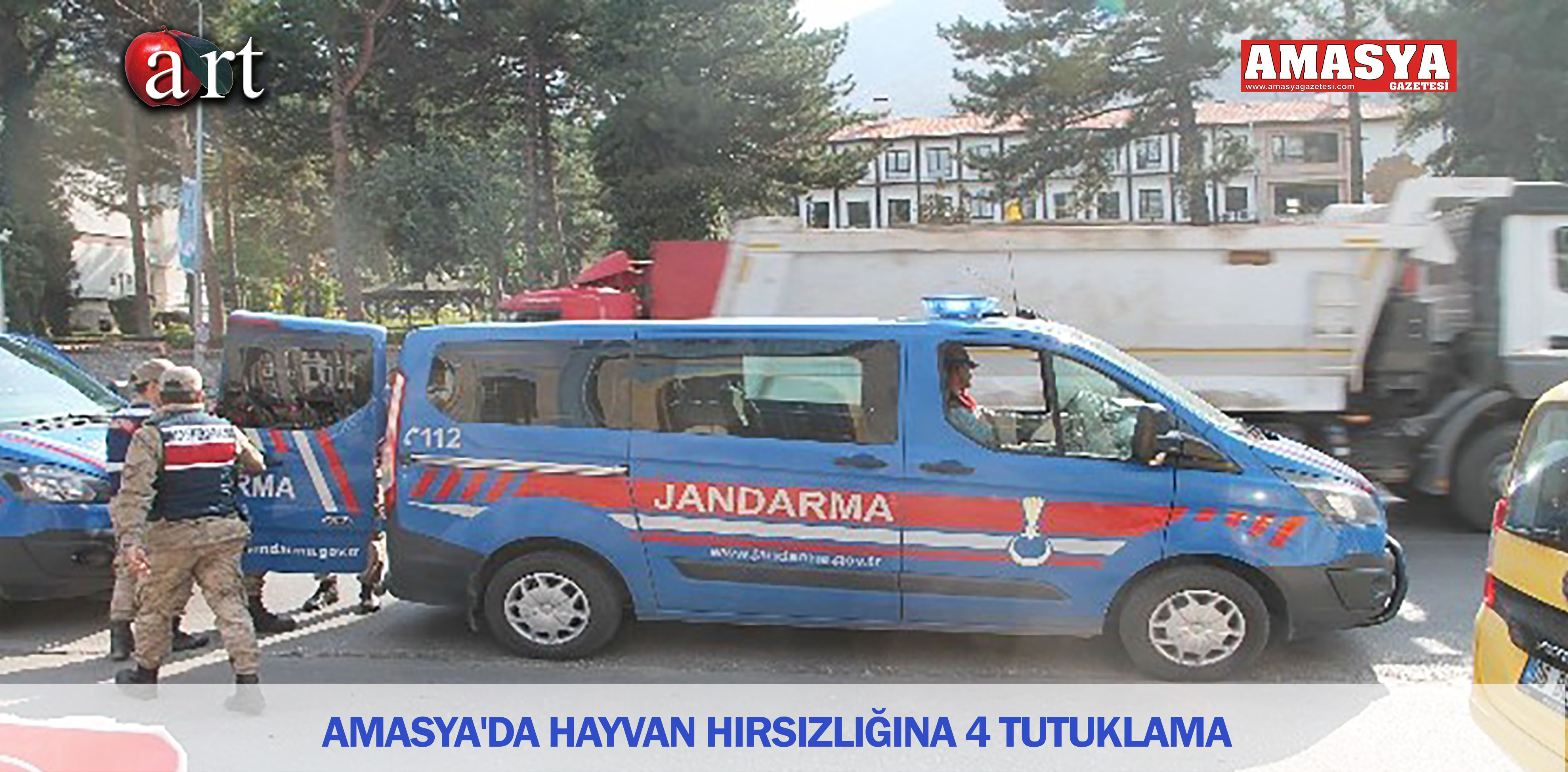 AMASYA’DA HAYVAN HIRSIZLIĞINA 4 TUTUKLAMA