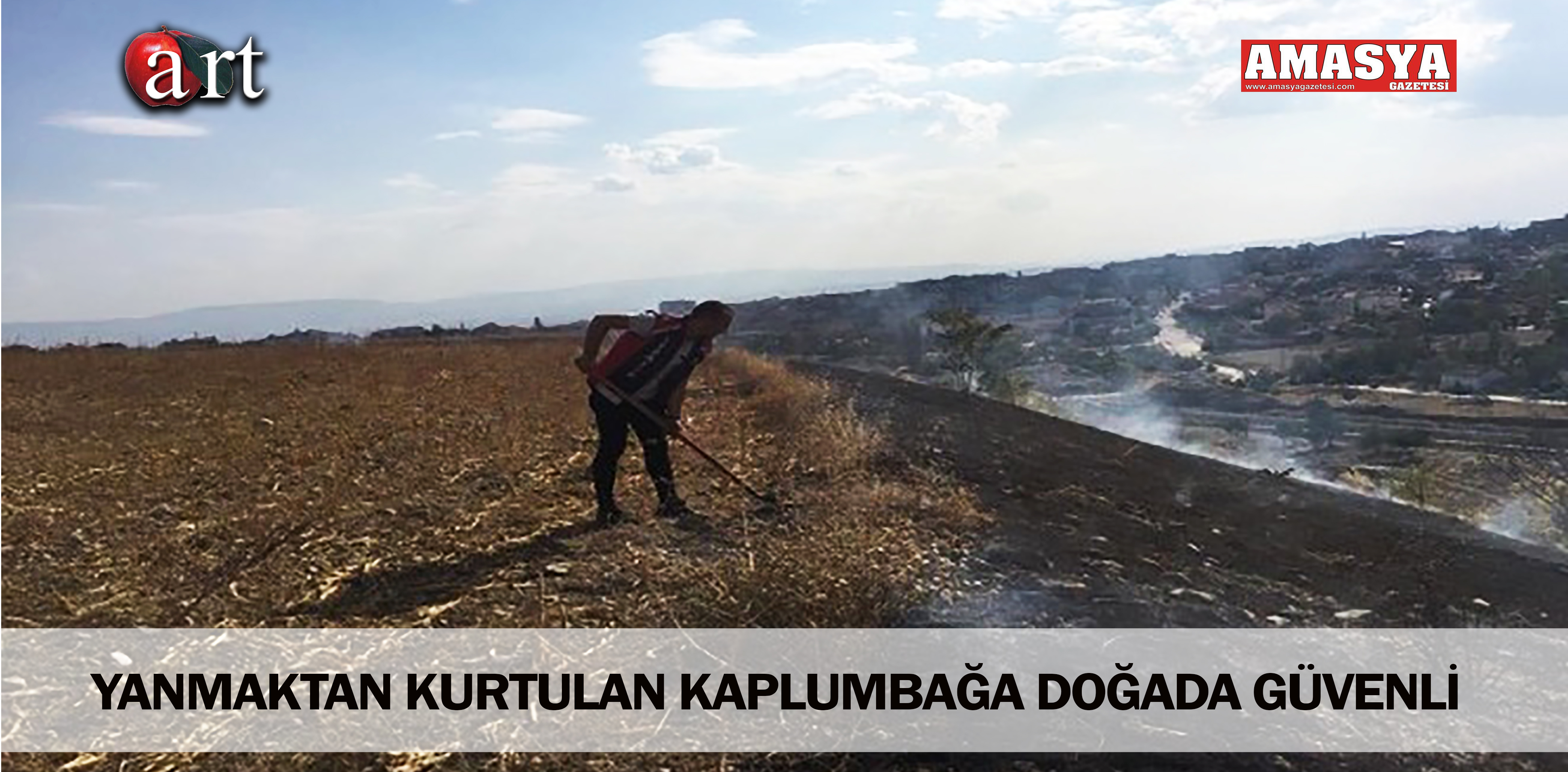 YANMAKTAN KURTULAN KAPLUMBAĞA DOĞADA GÜVENLİ