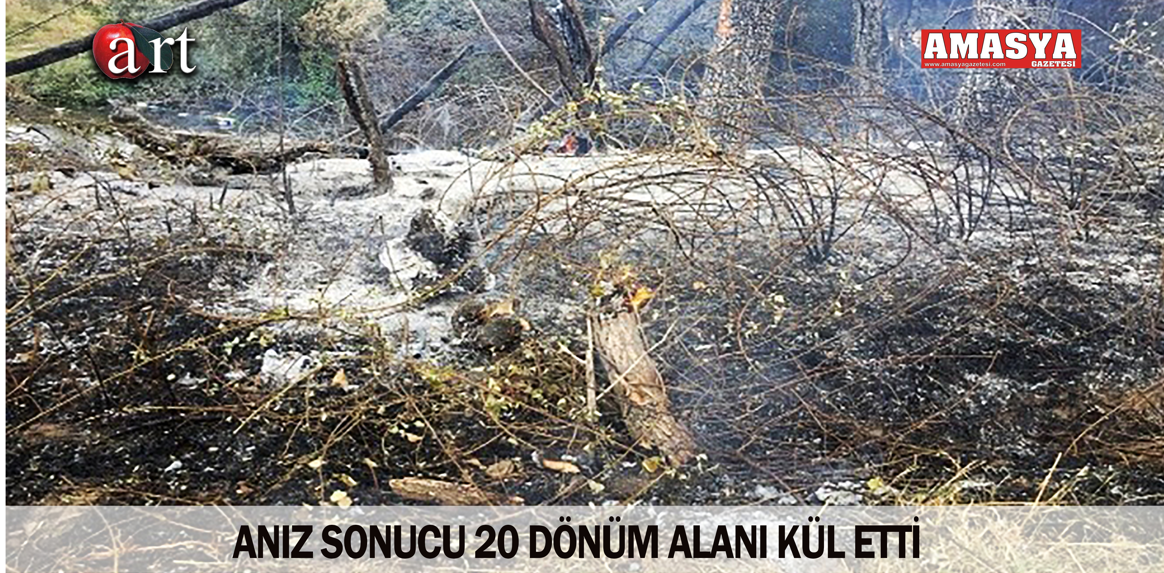 ANIZ SONUCU 20 DÖNÜM ALANI KÜL ETTİ