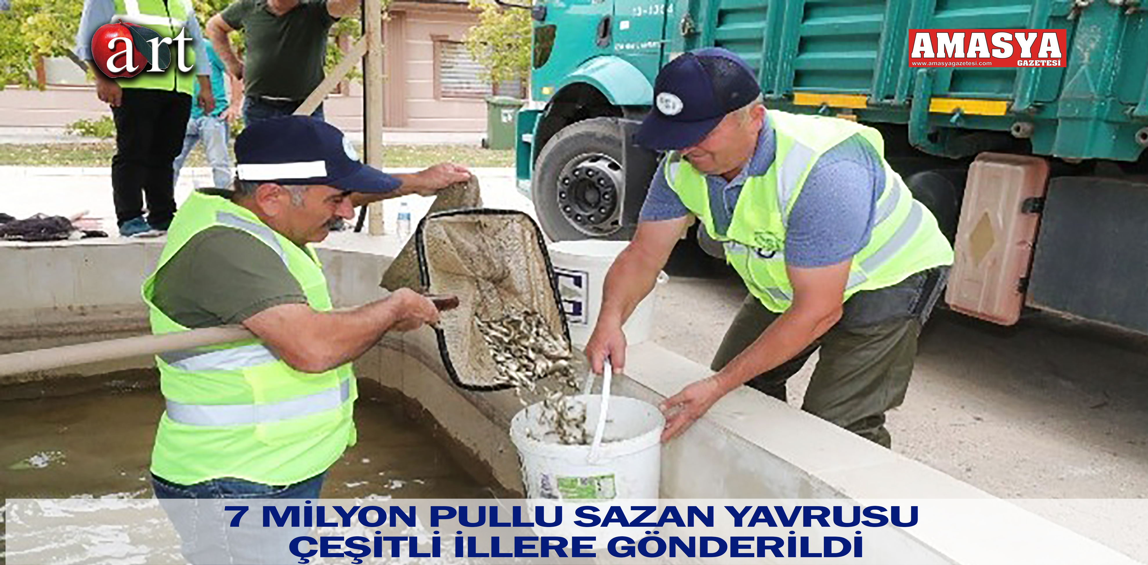 7 MİLYON PULLU SAZAN YAVRUSU ÇEŞİTLİ İLLERE GÖNDERİLDİ