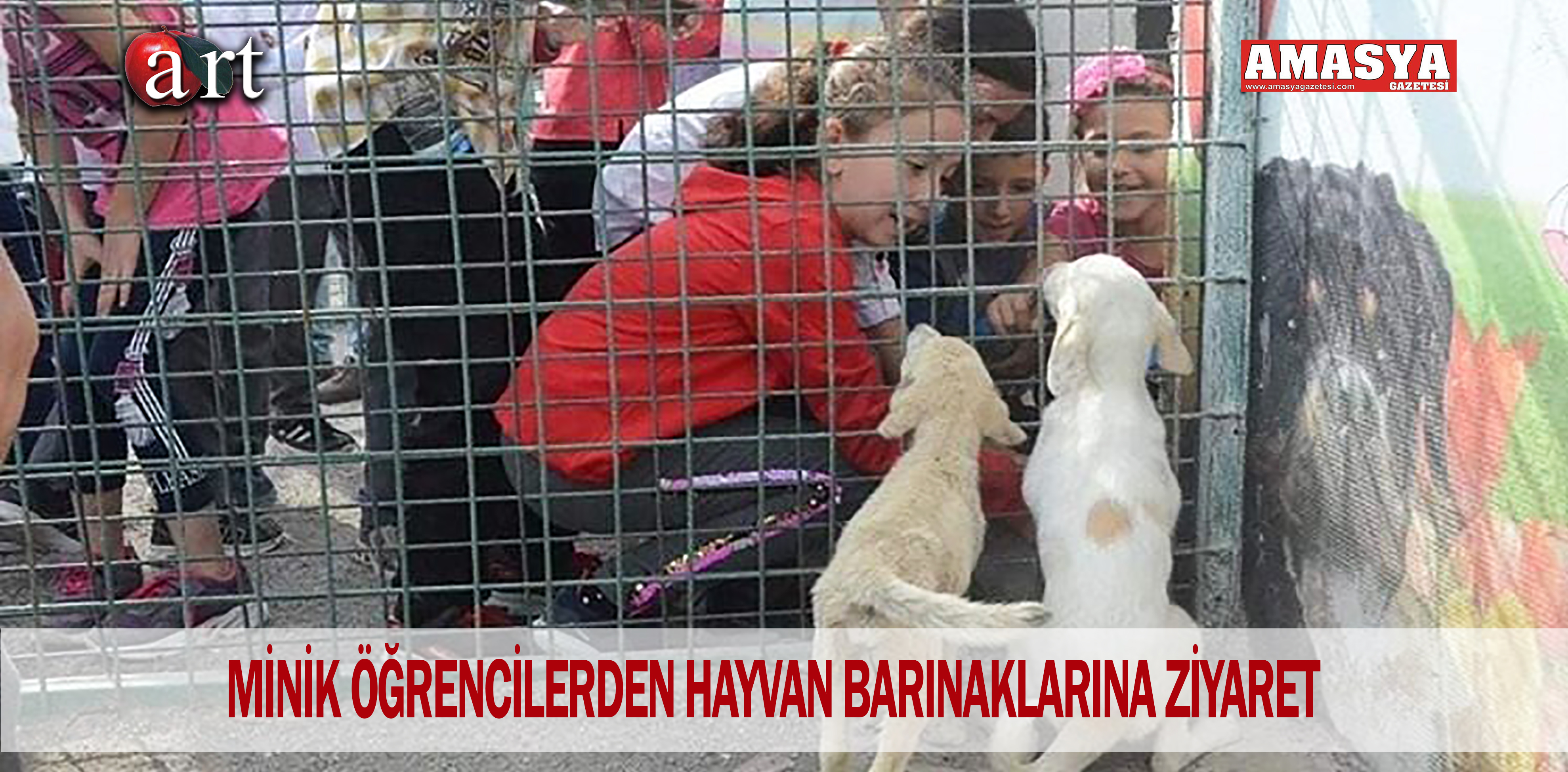 MİNİK ÖĞRENCİLERDEN HAYVAN BARINAKLARINA ZİYARET