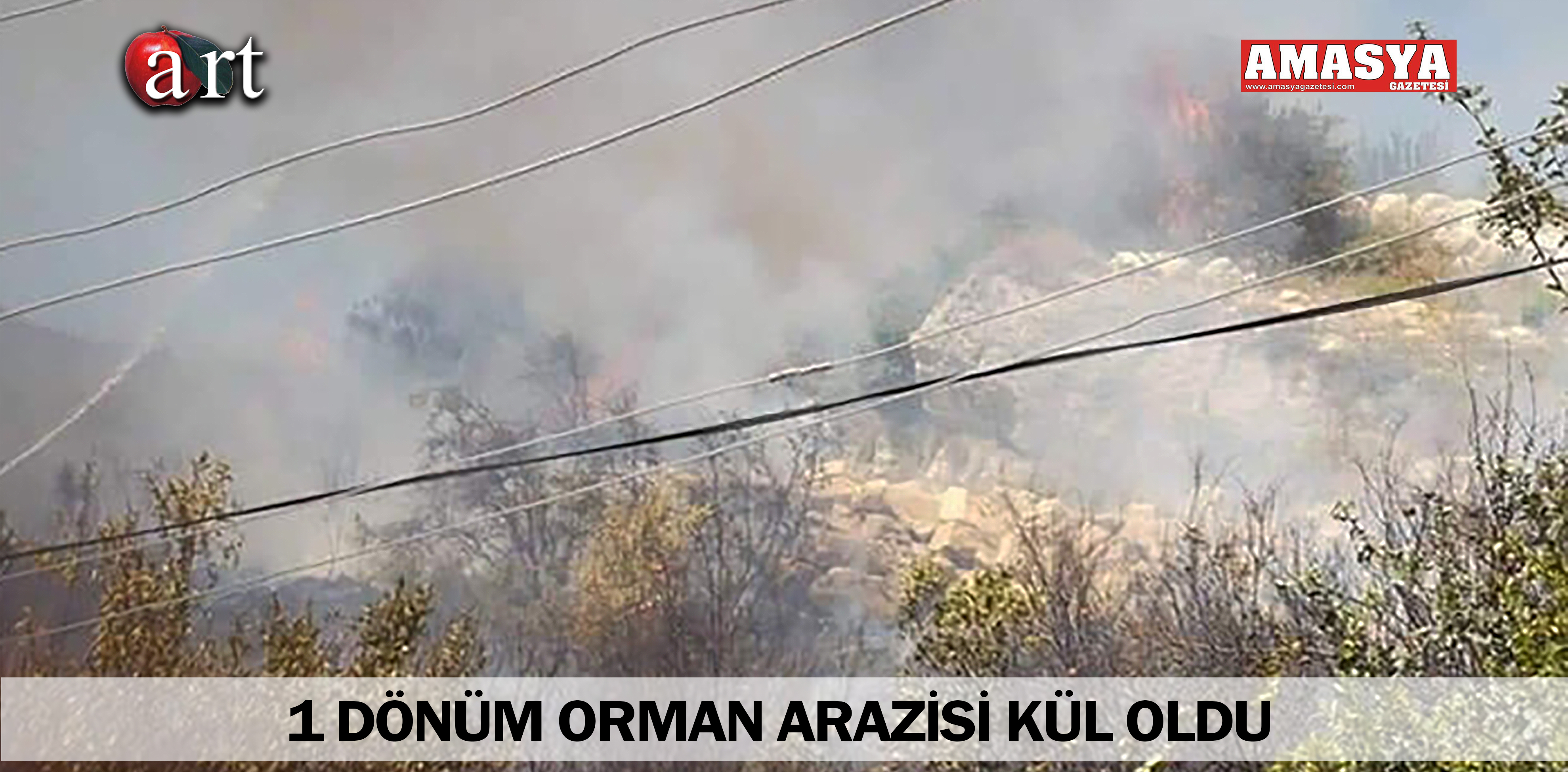 1 DÖNÜM ORMAN ARAZİSİ KÜL OLDU