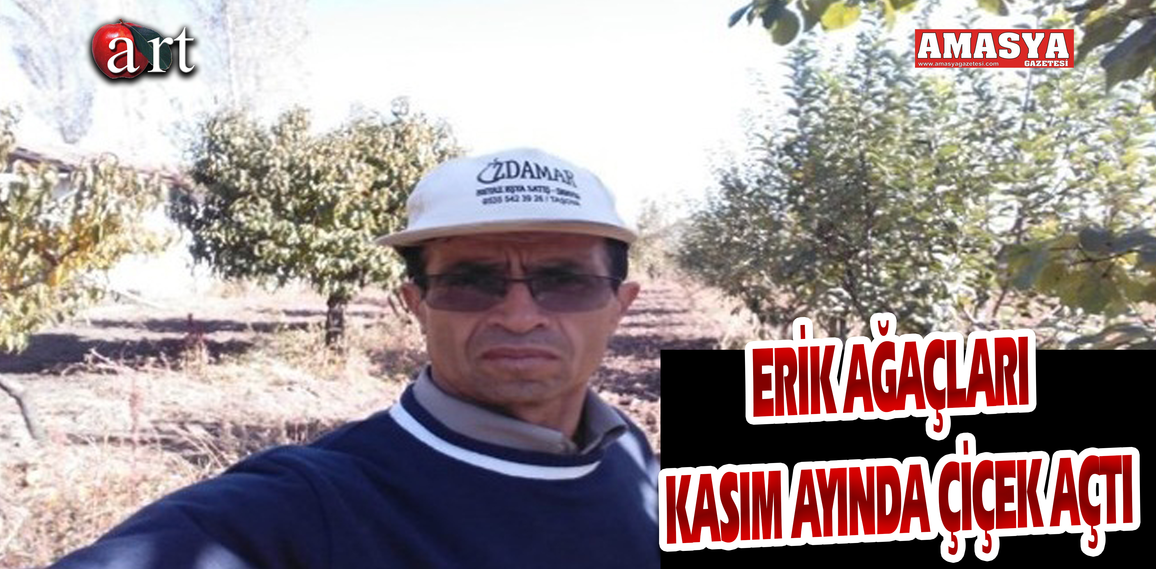 ERİK AĞAÇLARI KASIM AYINDA ÇİÇEK AÇTI