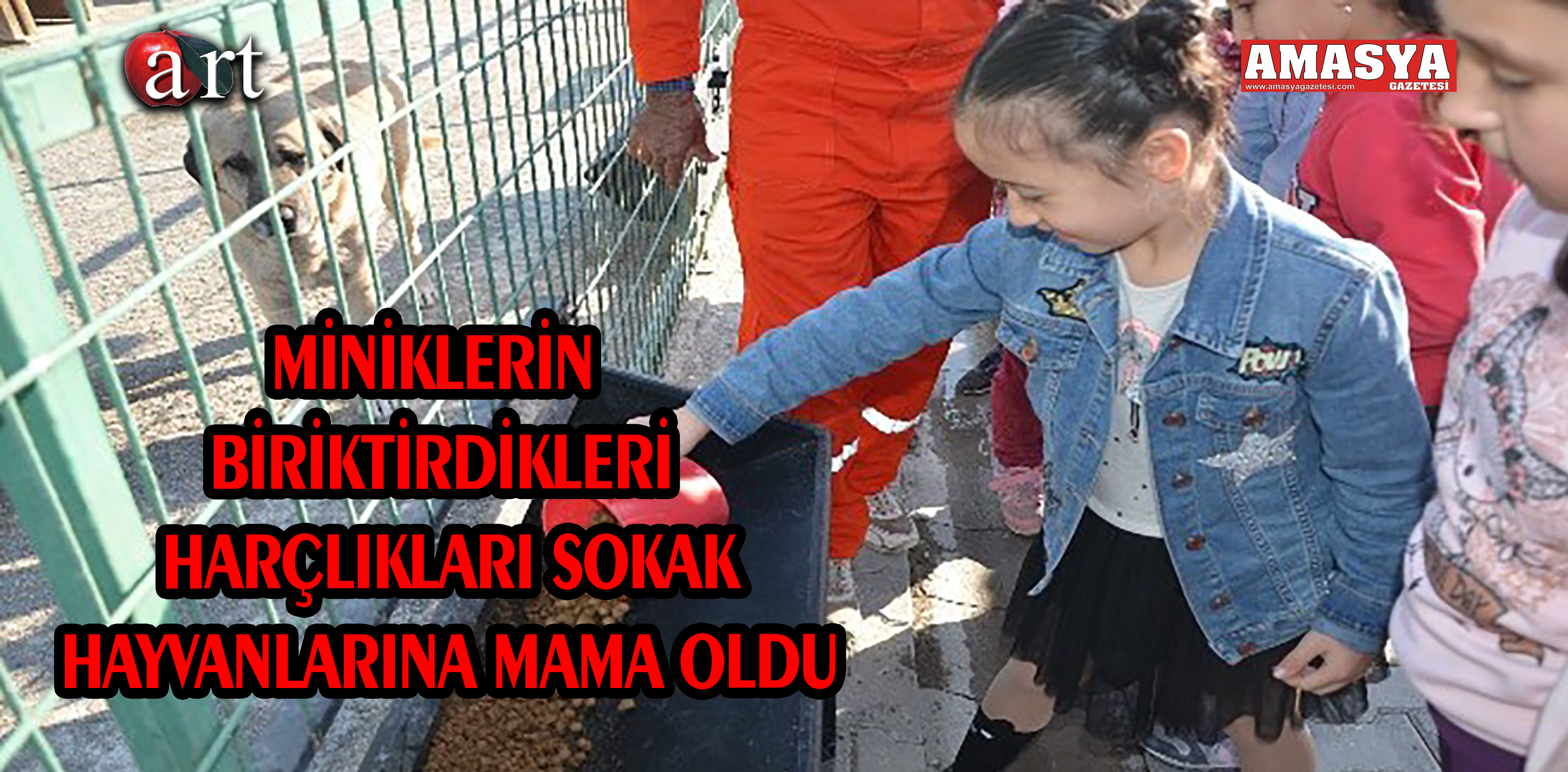 MİNİKLERİN BİRİKTİRDİKLERİ HARÇLIKLARI SOKAK HAYVANLARINA MAMA OLDU