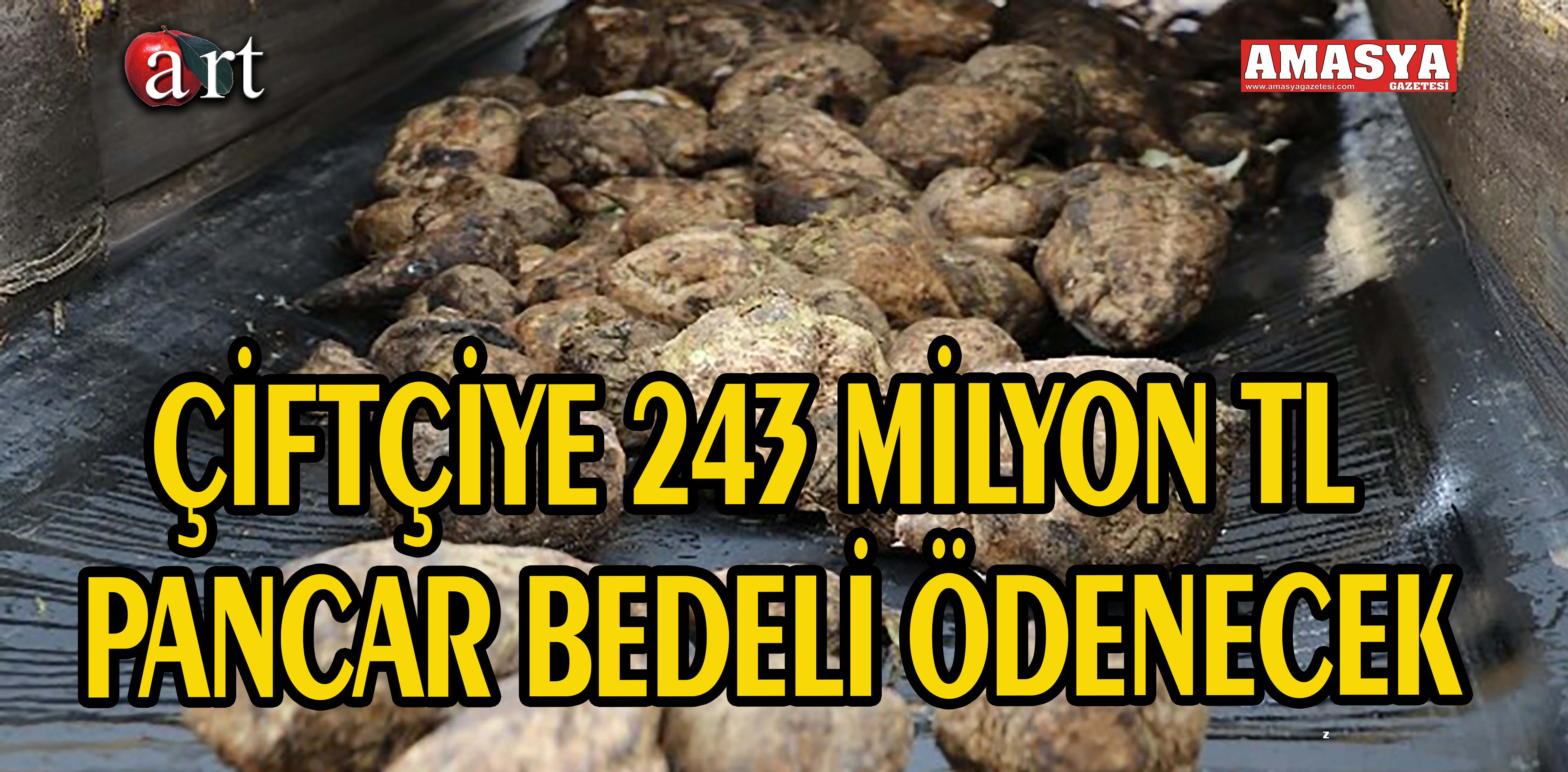 ÇİFTÇİYE 243 MİLYON TL PANCAR BEDELİ ÖDENECEK