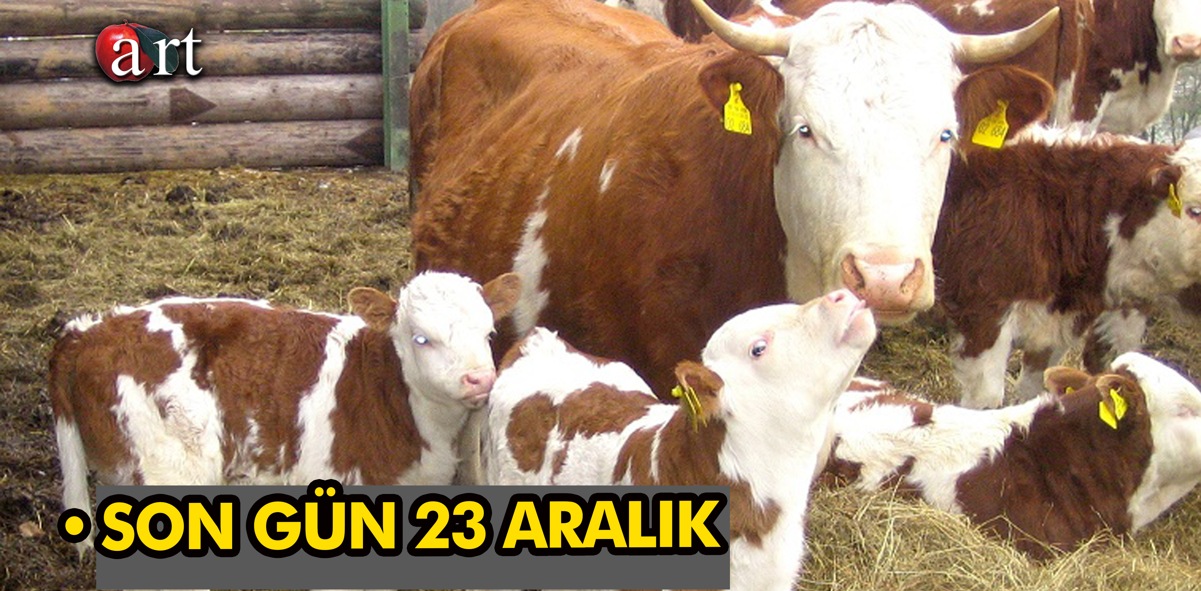 •	SON GÜN 23 ARALIK