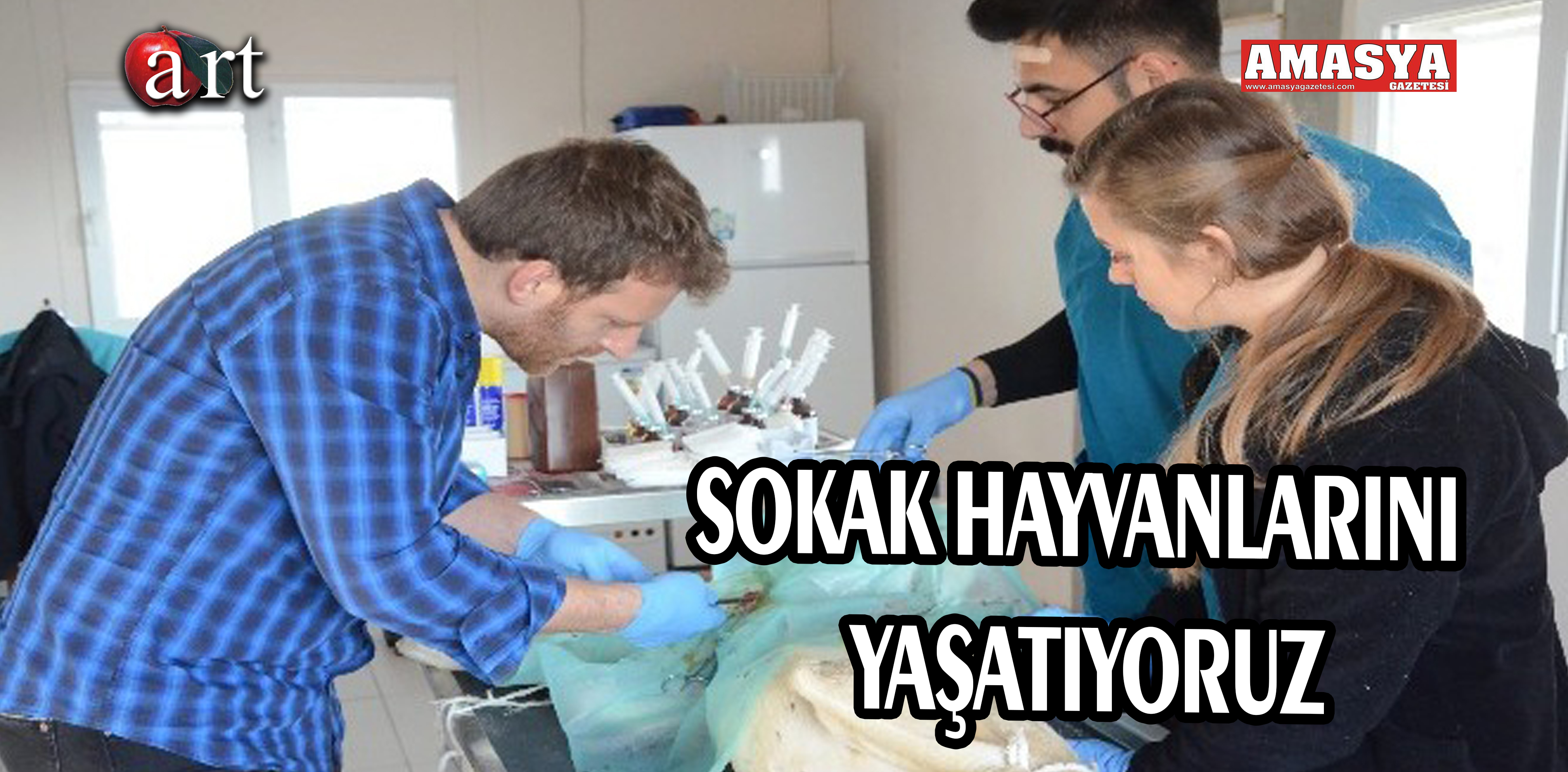 SOKAK HAYVANLARINI YAŞATIYORUZ