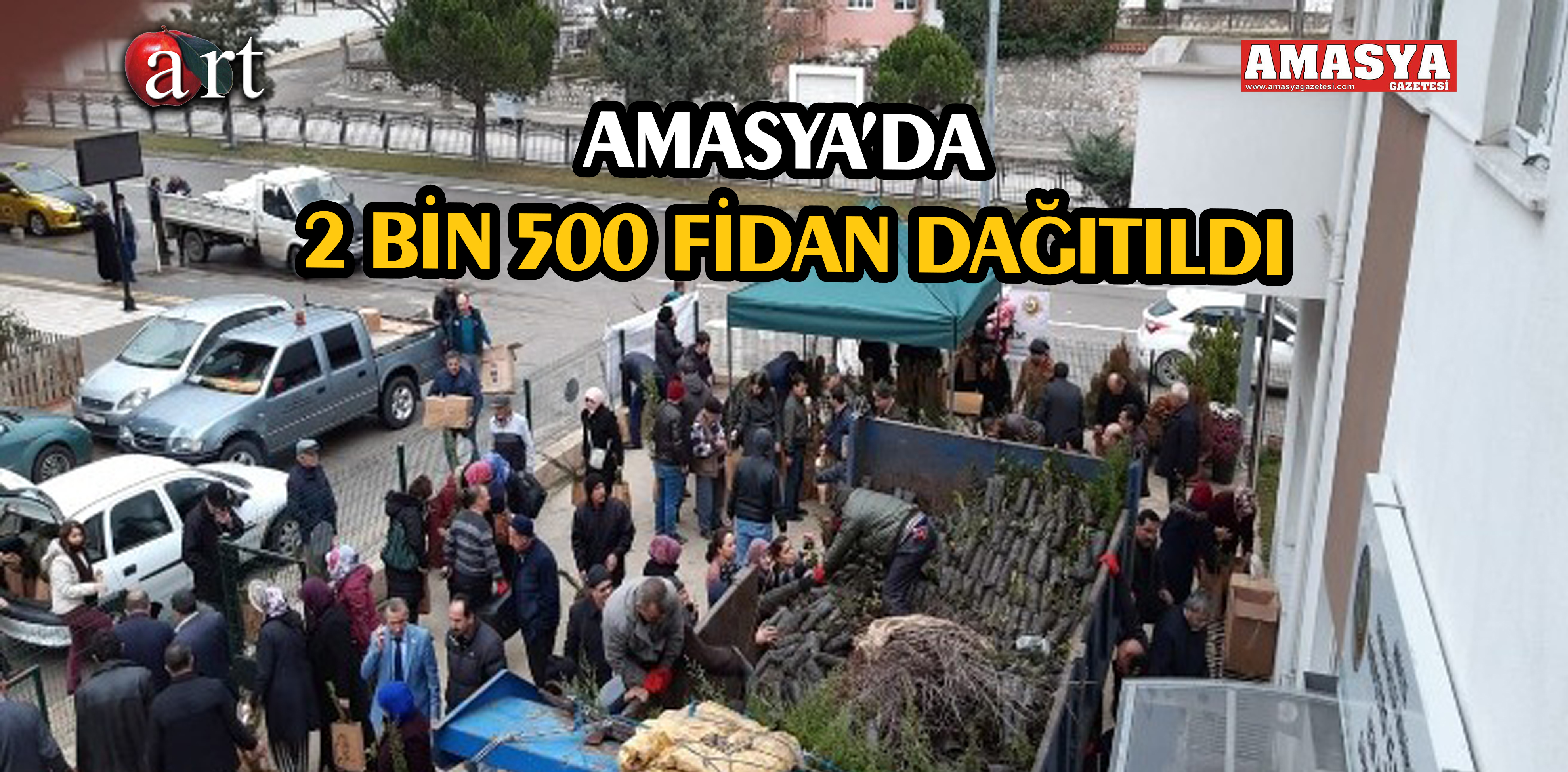 AMASYA’DA 2 BİN 500 FİDAN DAĞITILDI