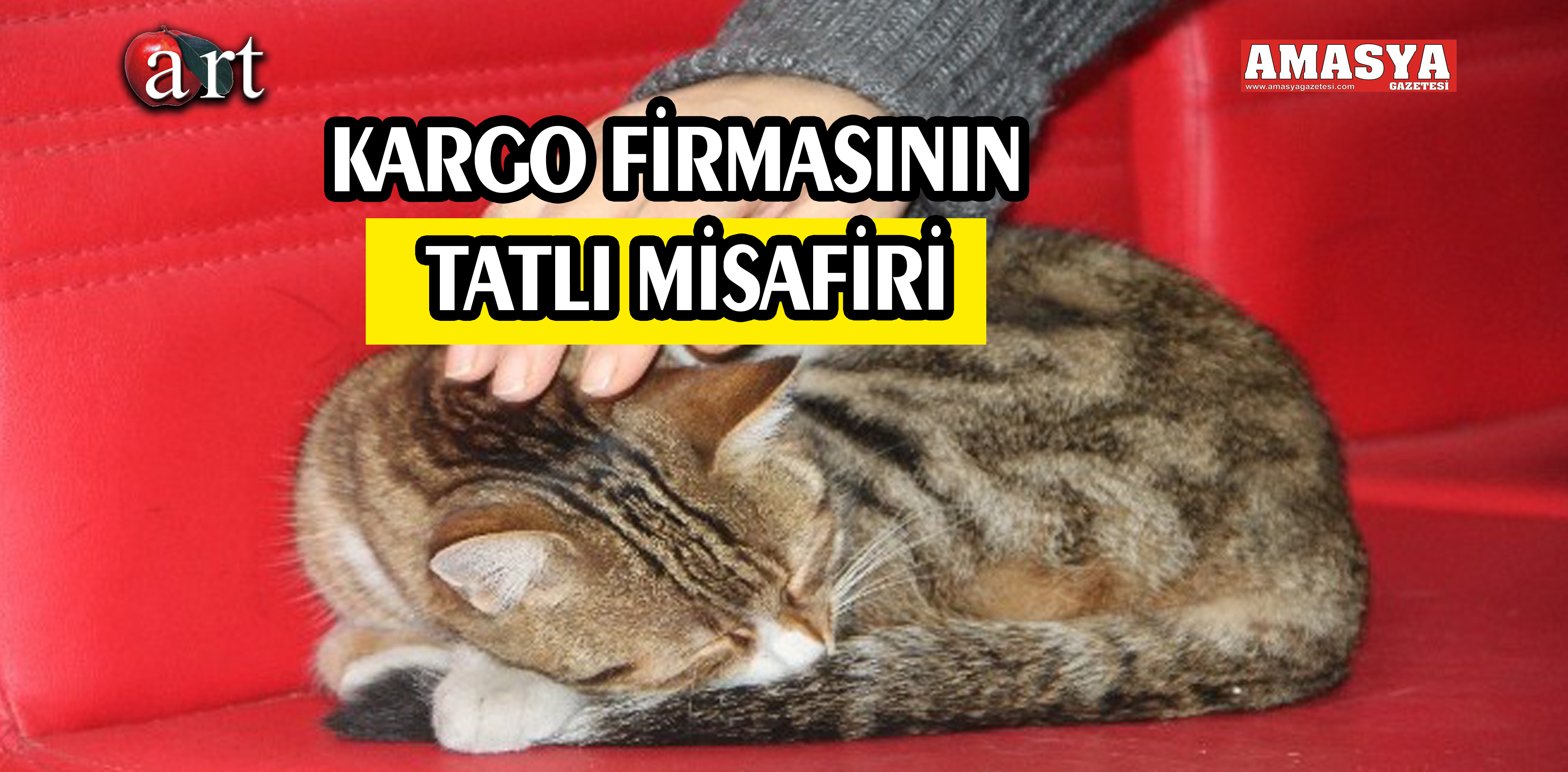 KARGO FİRMASININ TATLI MİSAFİRİ