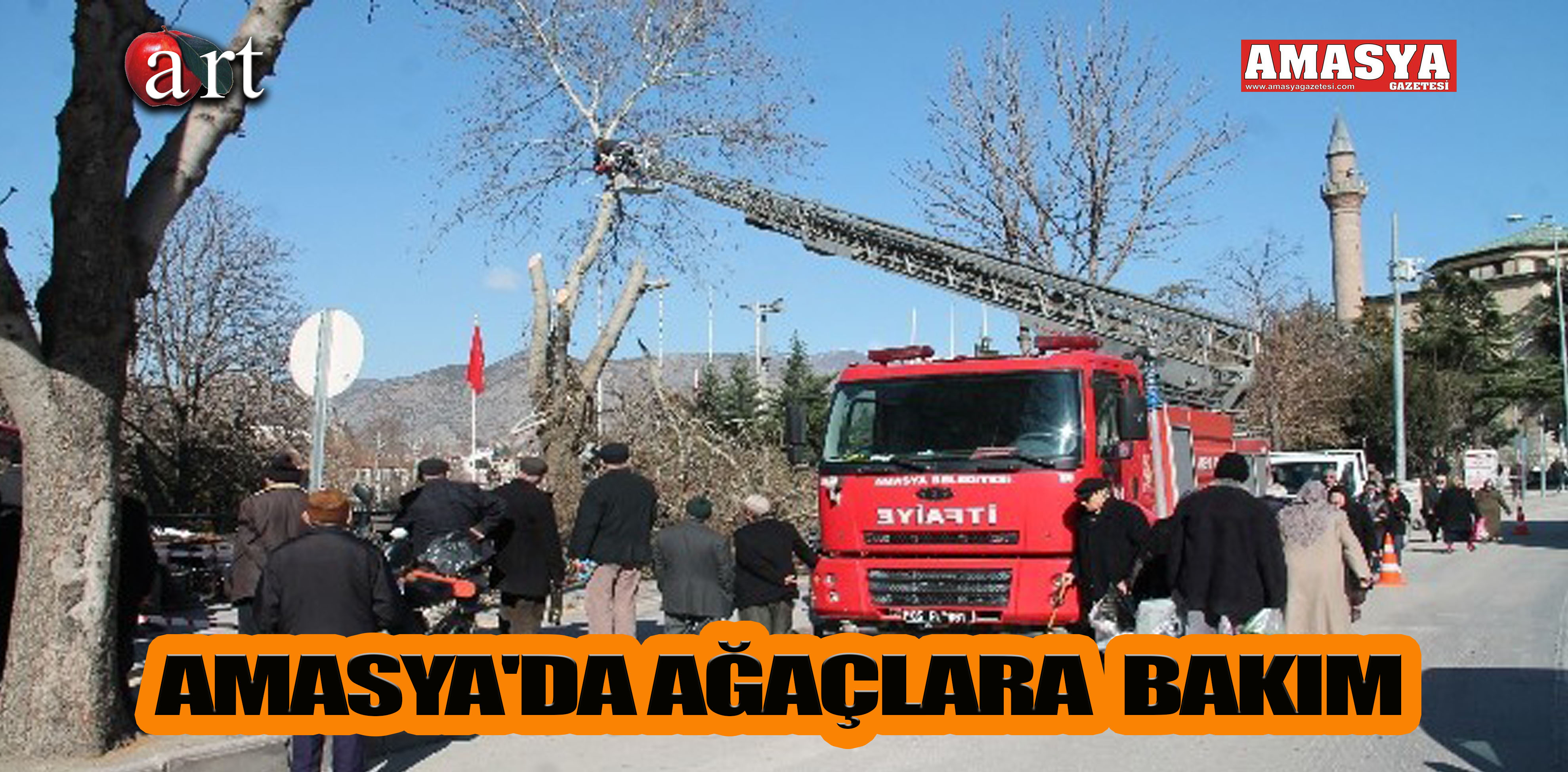 AMASYA’DA AĞAÇLARA  BAKIM