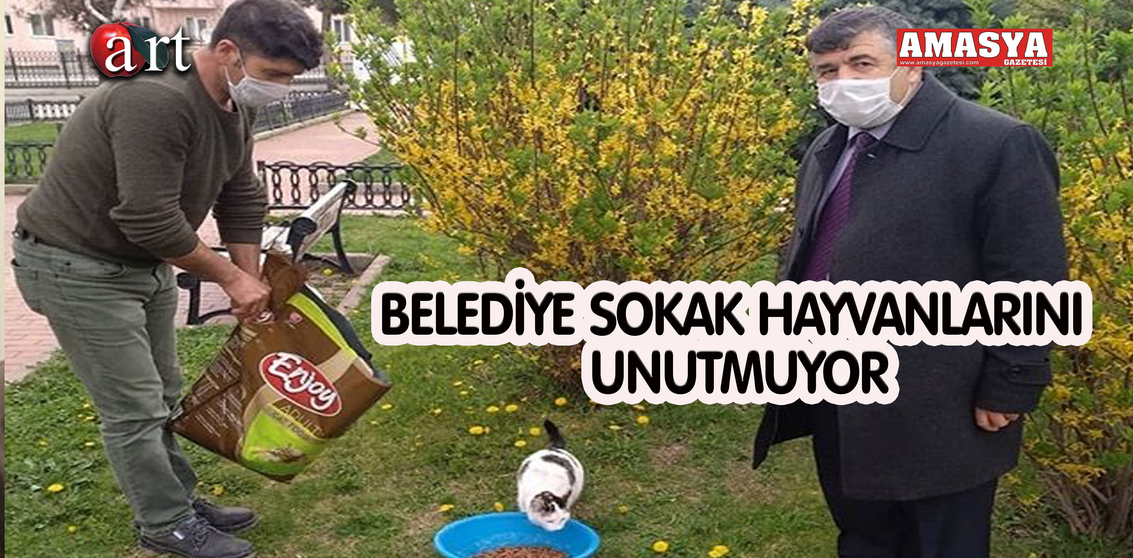 BELEDİYE SOKAK HAYVANLARINI UNUTMUYOR