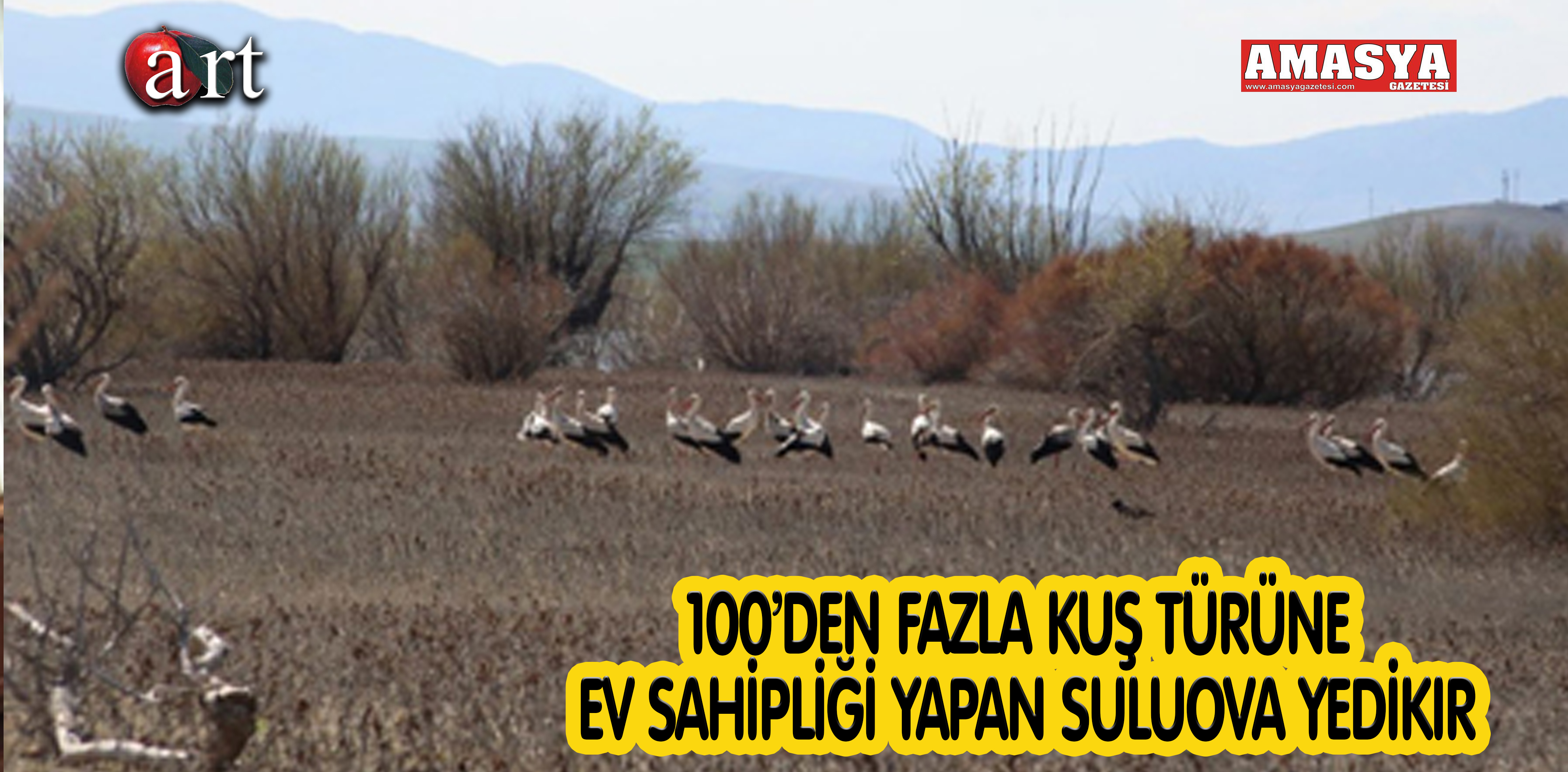 100’DEN FAZLA KUŞ TÜRÜNE EV SAHİPLİĞİ YAPAN SULUOVA YEDİKIR