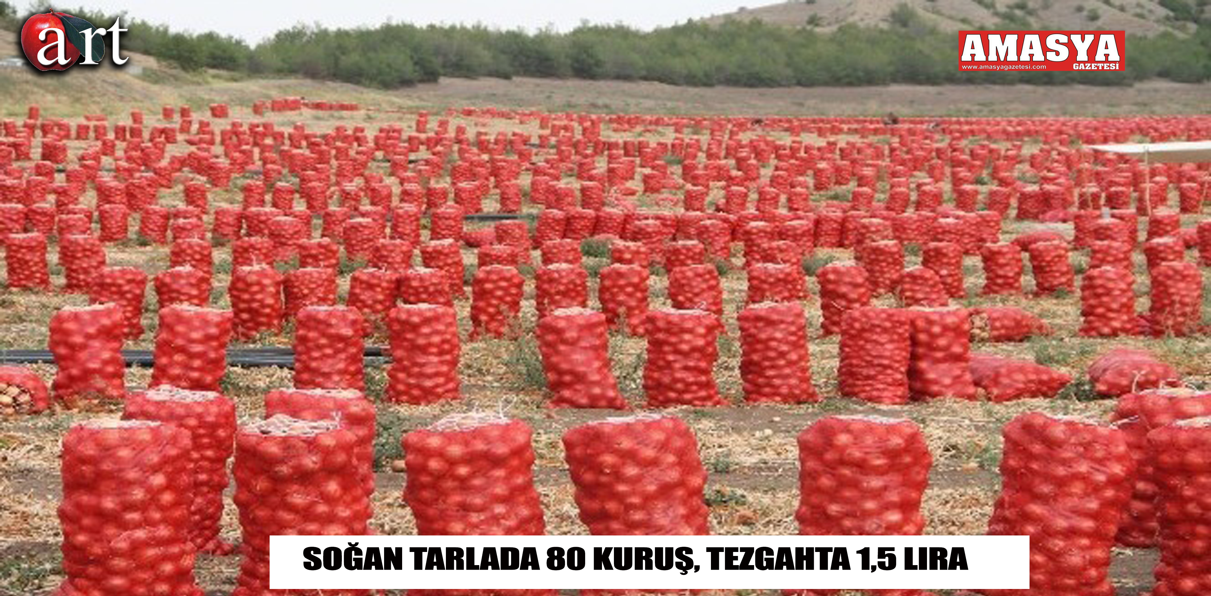 Soğan Tarlada 80 Kuruş, Tezgahta 1,5 lira