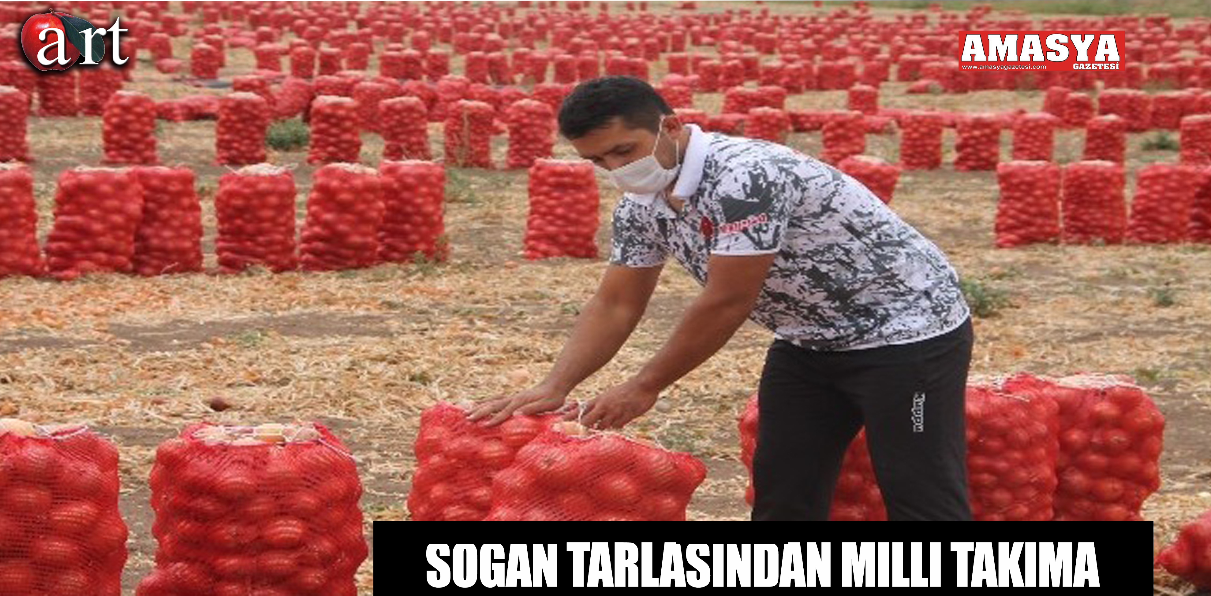 Soğan Tarlasından Milli Takıma