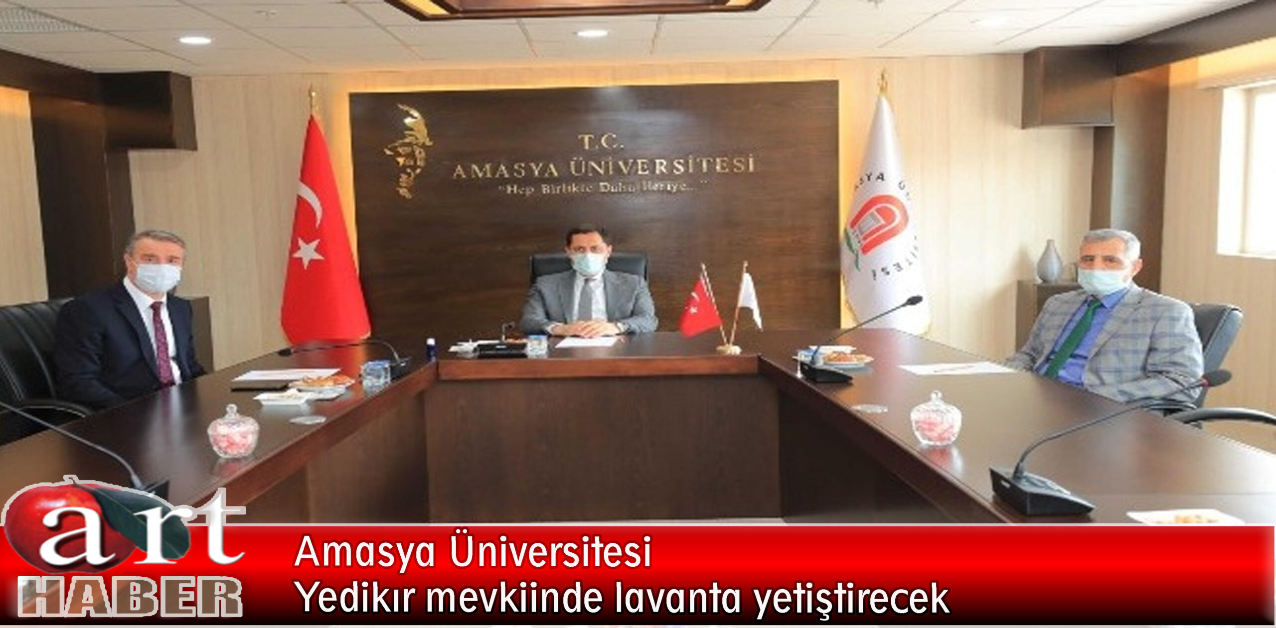 Amasya Üniversitesi Yedikır mevkiinde lavanta yetiştirecek