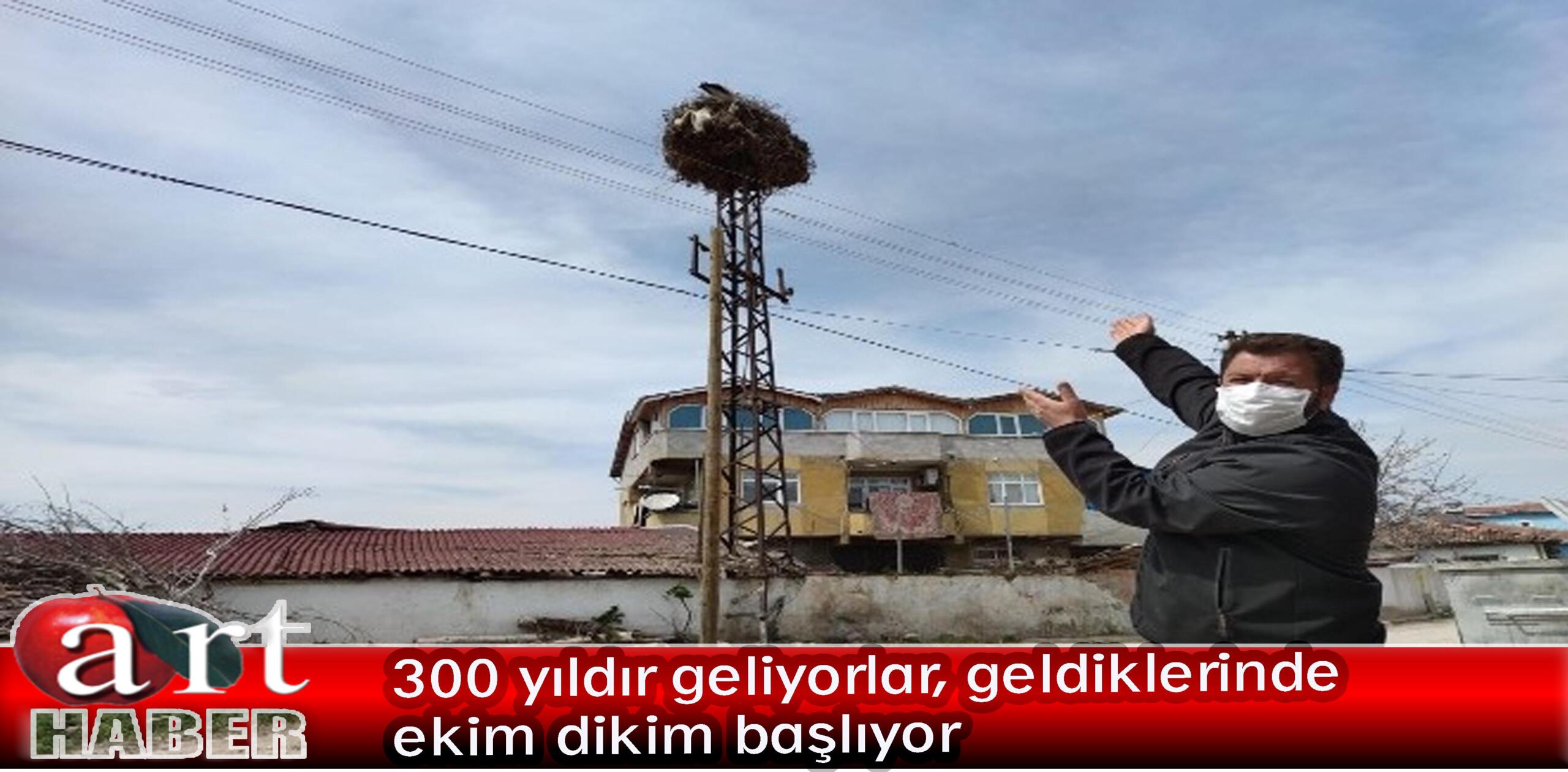 300 yıldır geliyorlar, geldiklerinde ekim dikim başlıyor