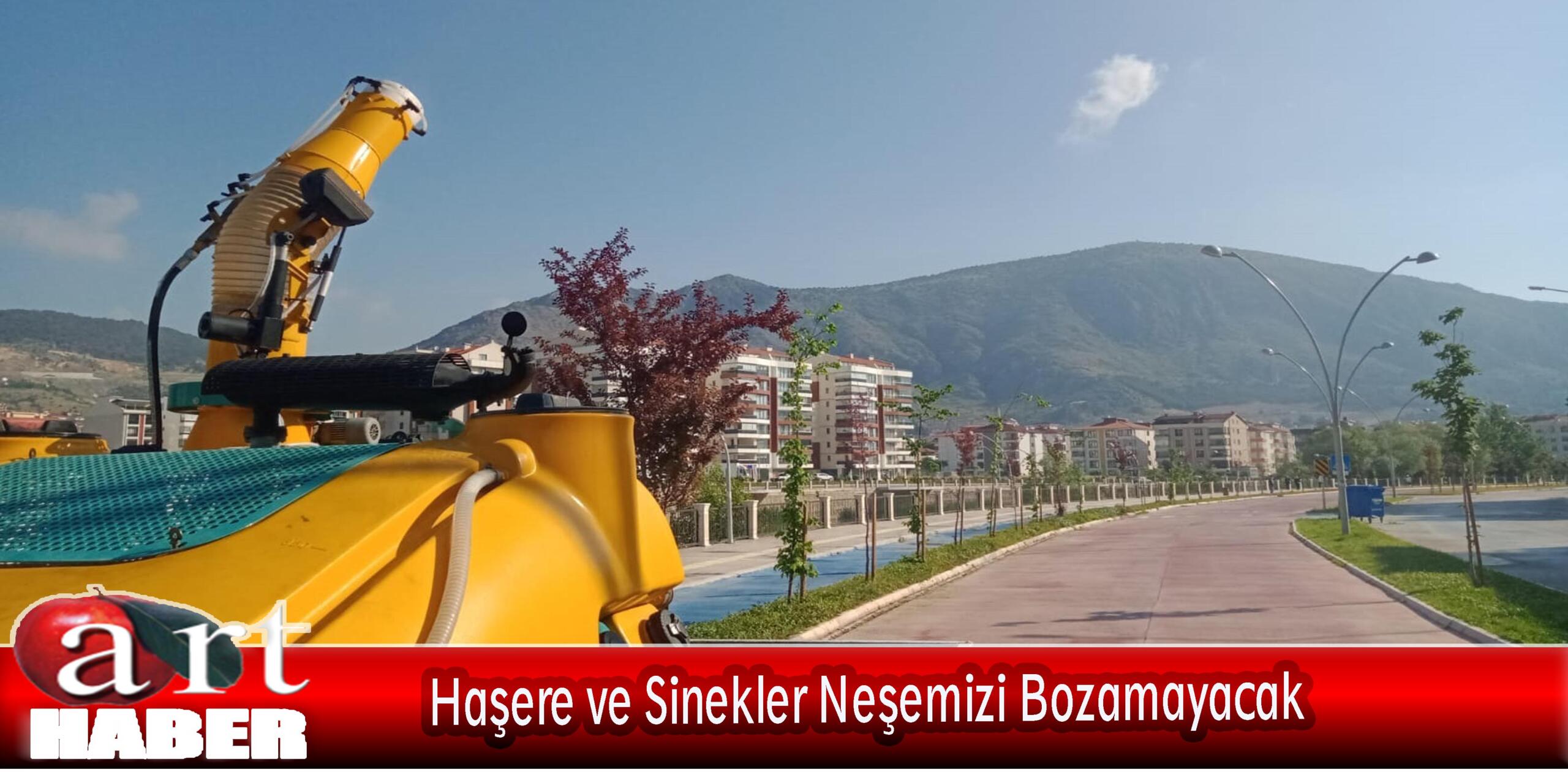 Haşere ve Sinekler Neşemizi Bozamayacak