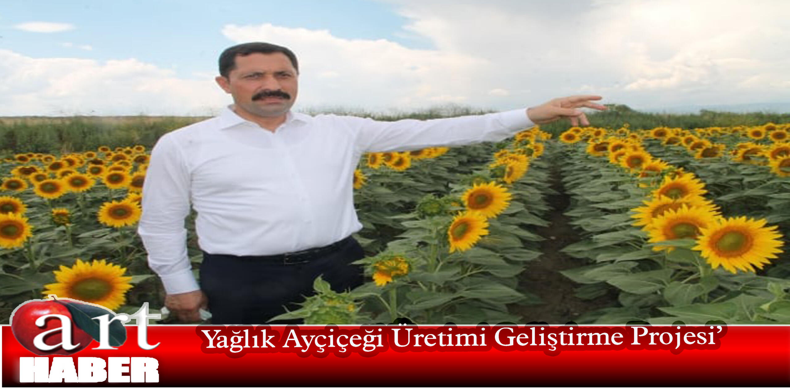 Yağlık Ayçiçeği Üretimi Geliştirme Projesi