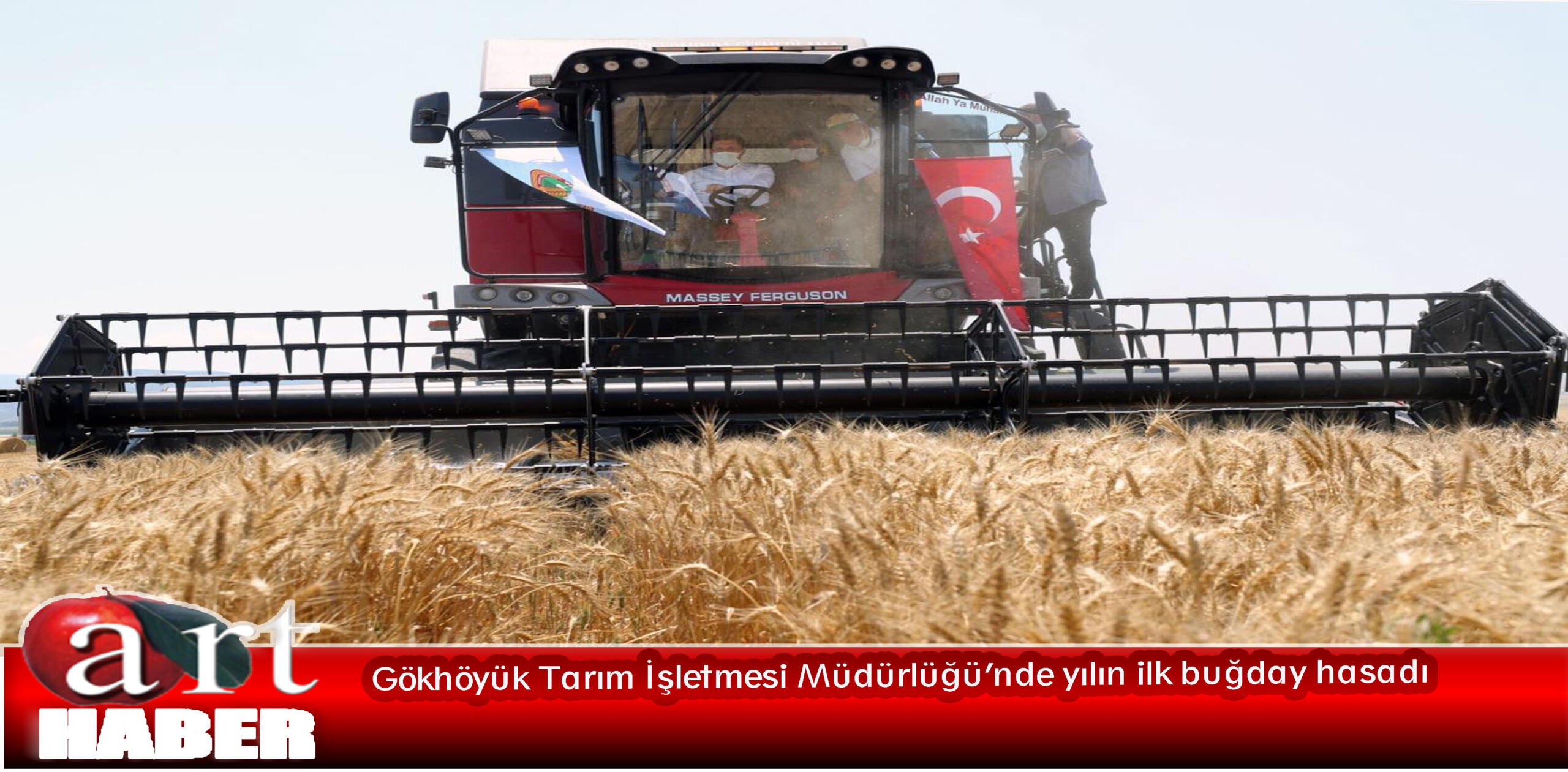 Gökhöyük Tarım İşletmesi Müdürlüğü’nde yılın ilk buğday hasadı