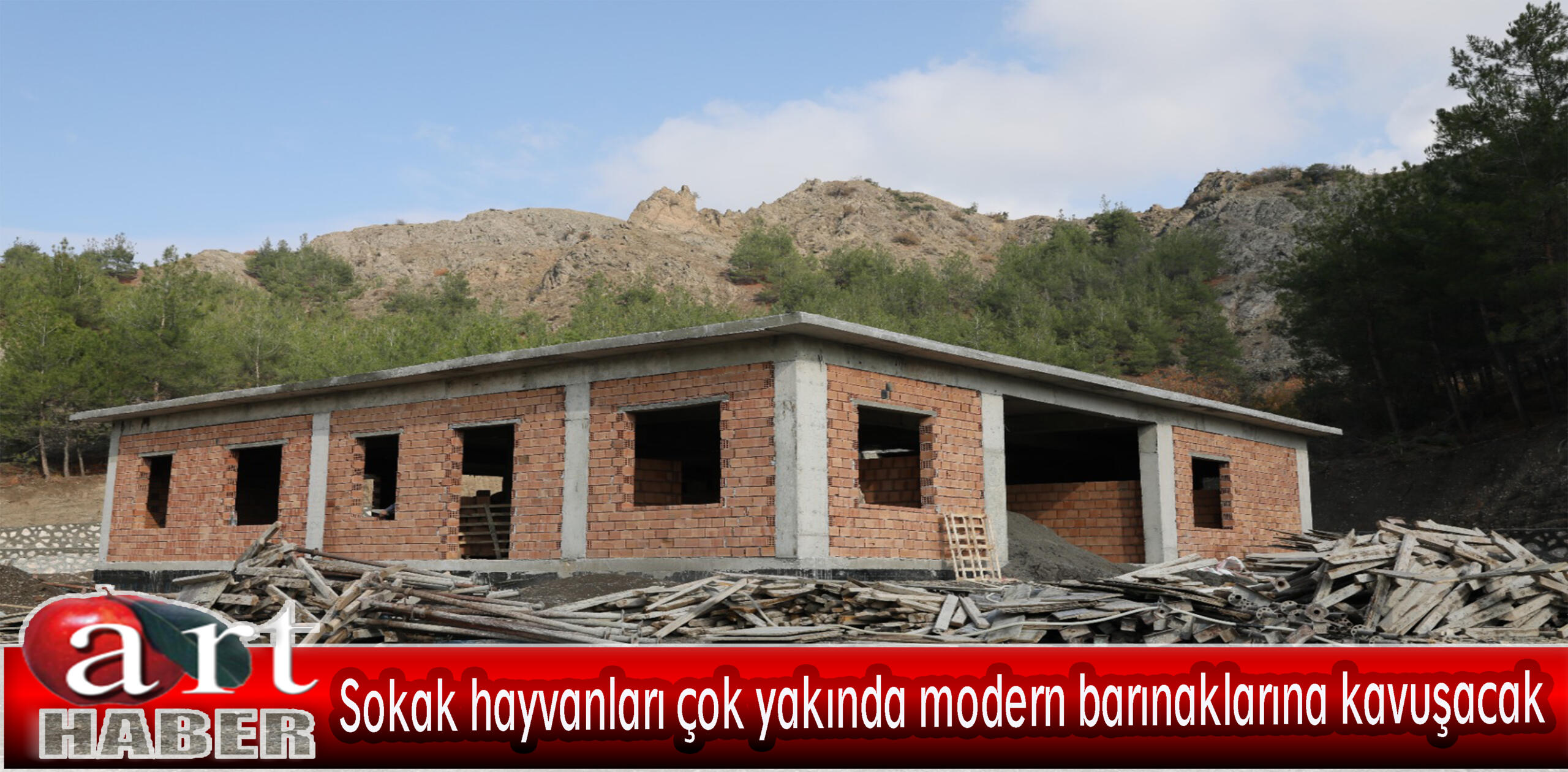 Sokak hayvanları çok yakında modern barınaklarına kavuşacak