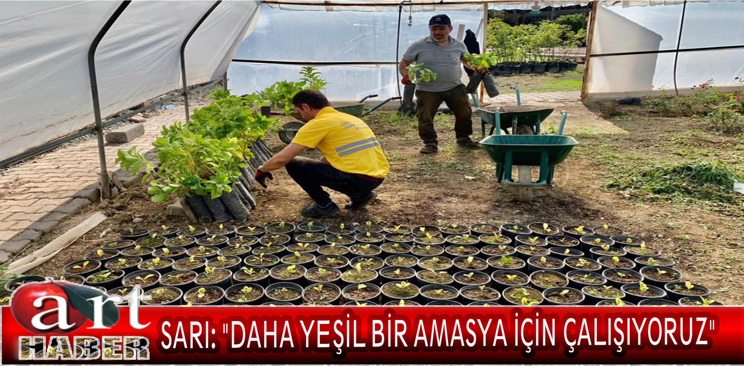 SARI: “DAHA YEŞİL BİR AMASYA İÇİN ÇALIŞIYORUZ.”