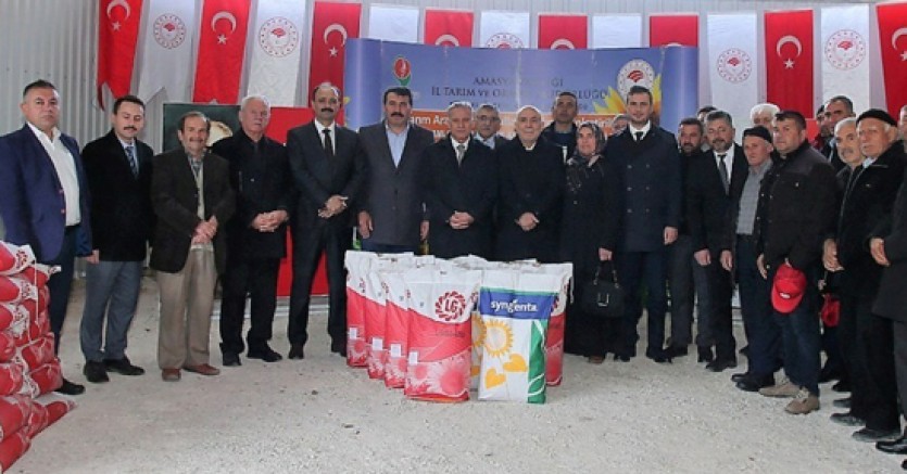 Amasya’da Çiftçilere Ayçiçeği Tohumu Desteği